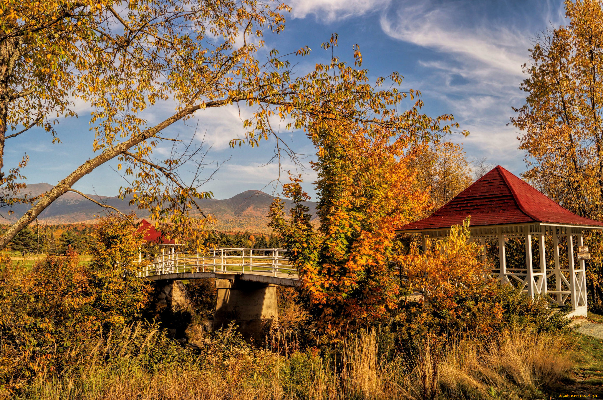 природа, дороги, осень