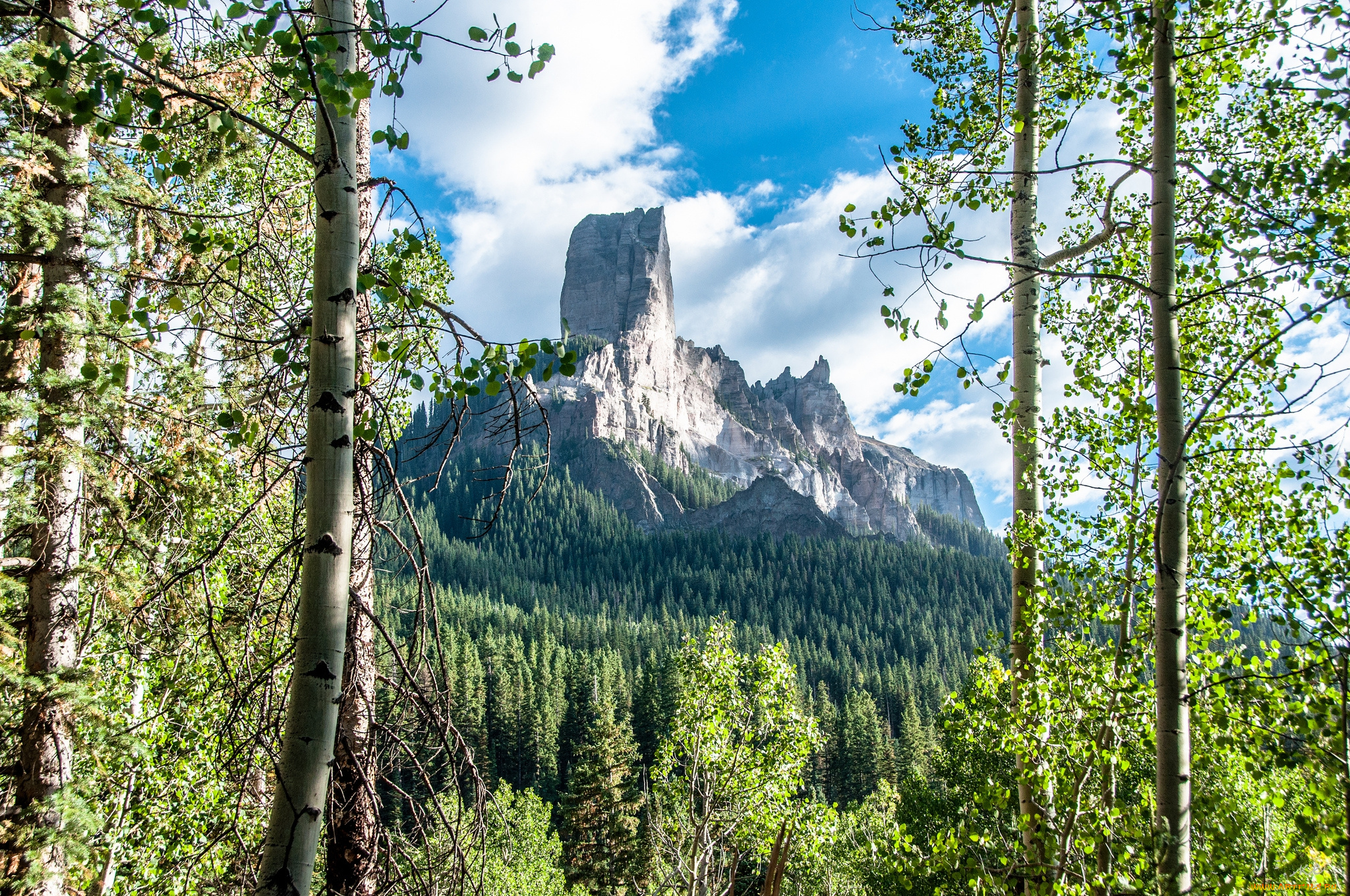 природа, горы, лес