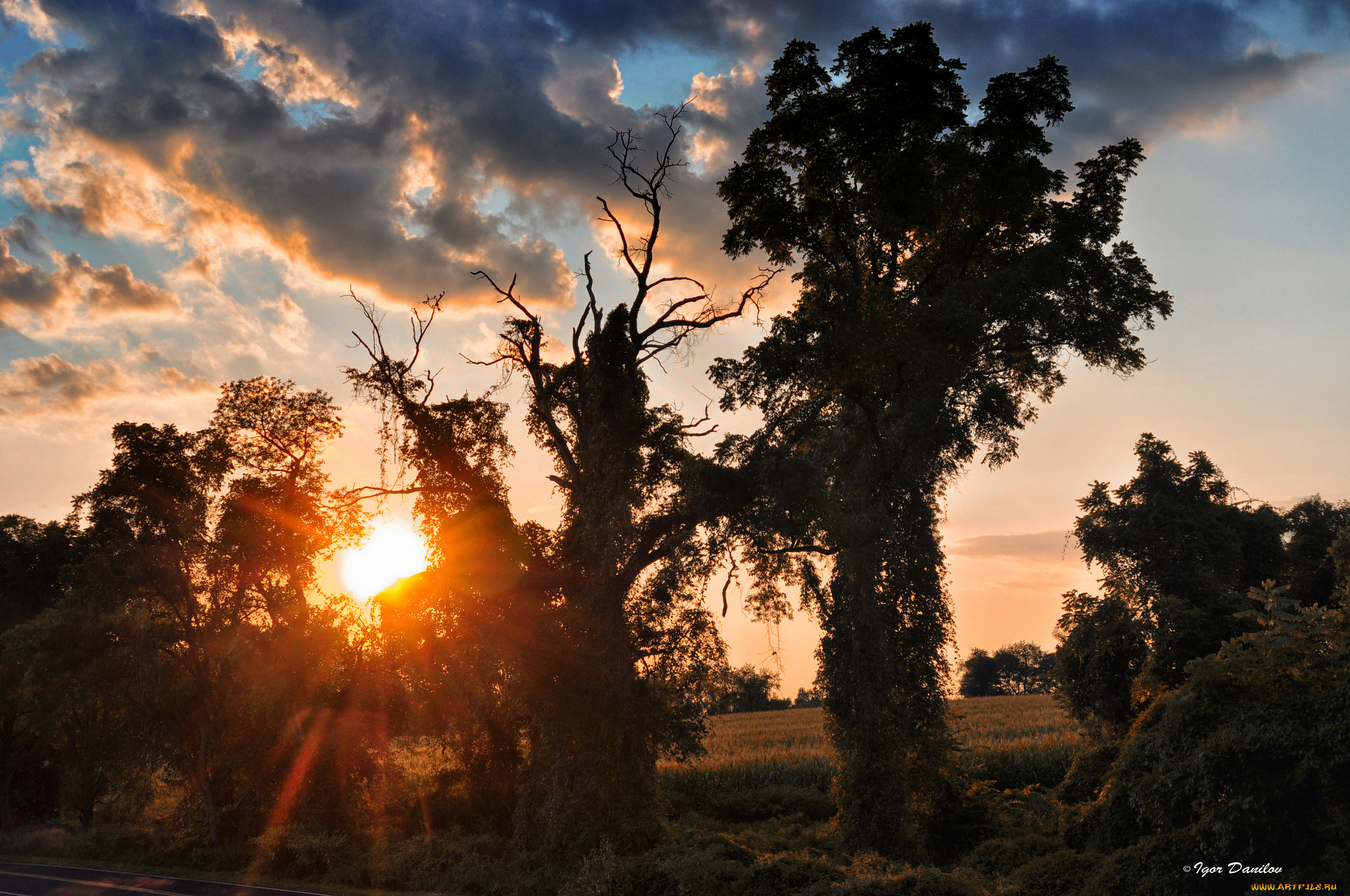 природа, восходы, закаты, закат