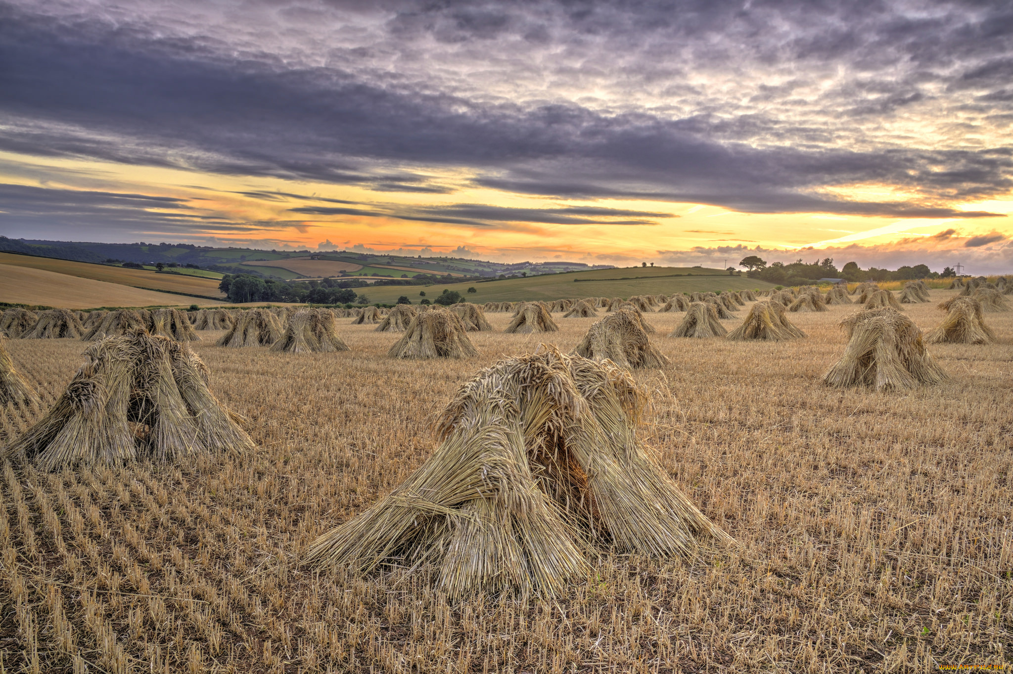 природа, поля, сено, вечер, поле