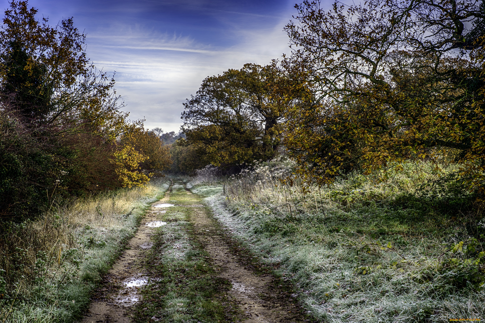 природа, дороги, лес, иней, тракт