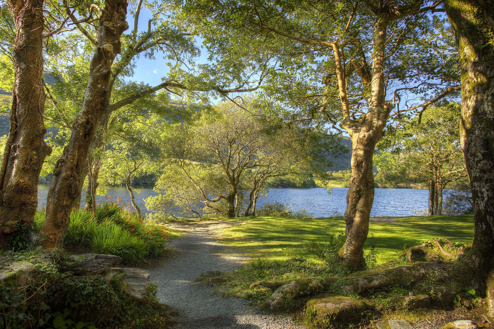 природа, дороги, лес, река, тропинка