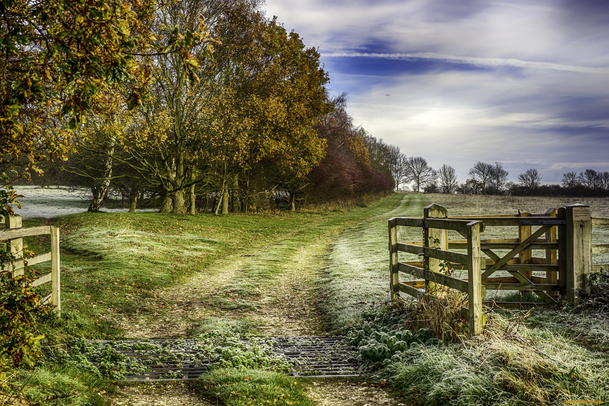 природа, дороги, поле, лес, тракт, калитка