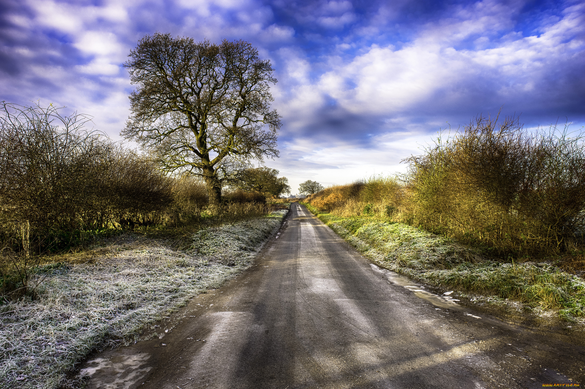 природа, дороги, тракт