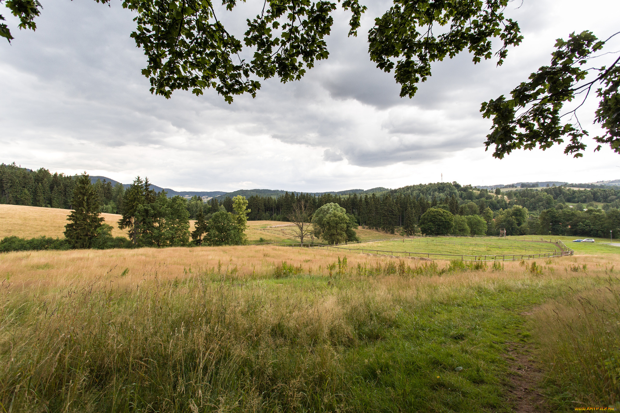 природа, дороги, тропинка, лес, трава, поле