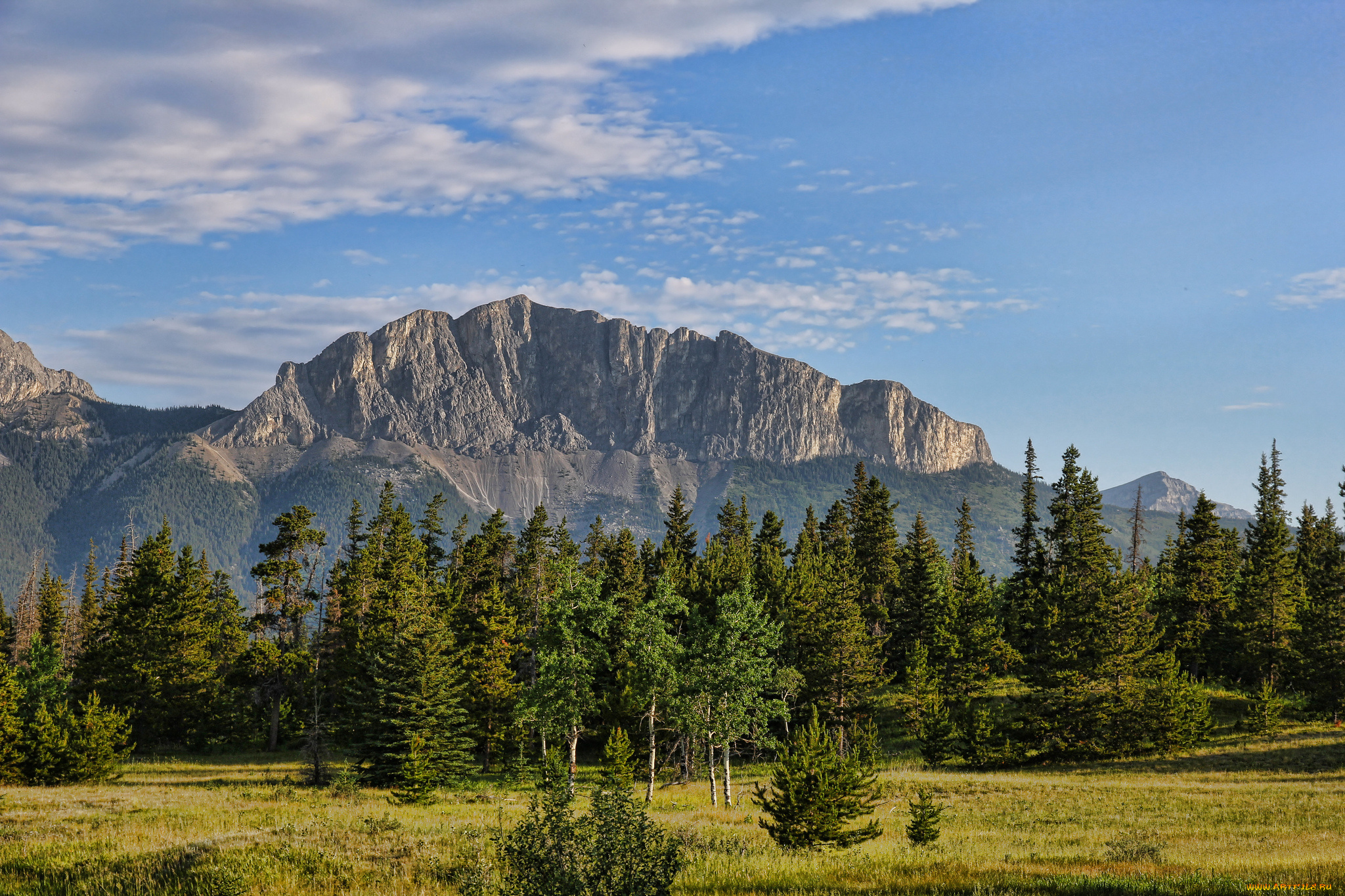 природа, горы, гора, поле, лес