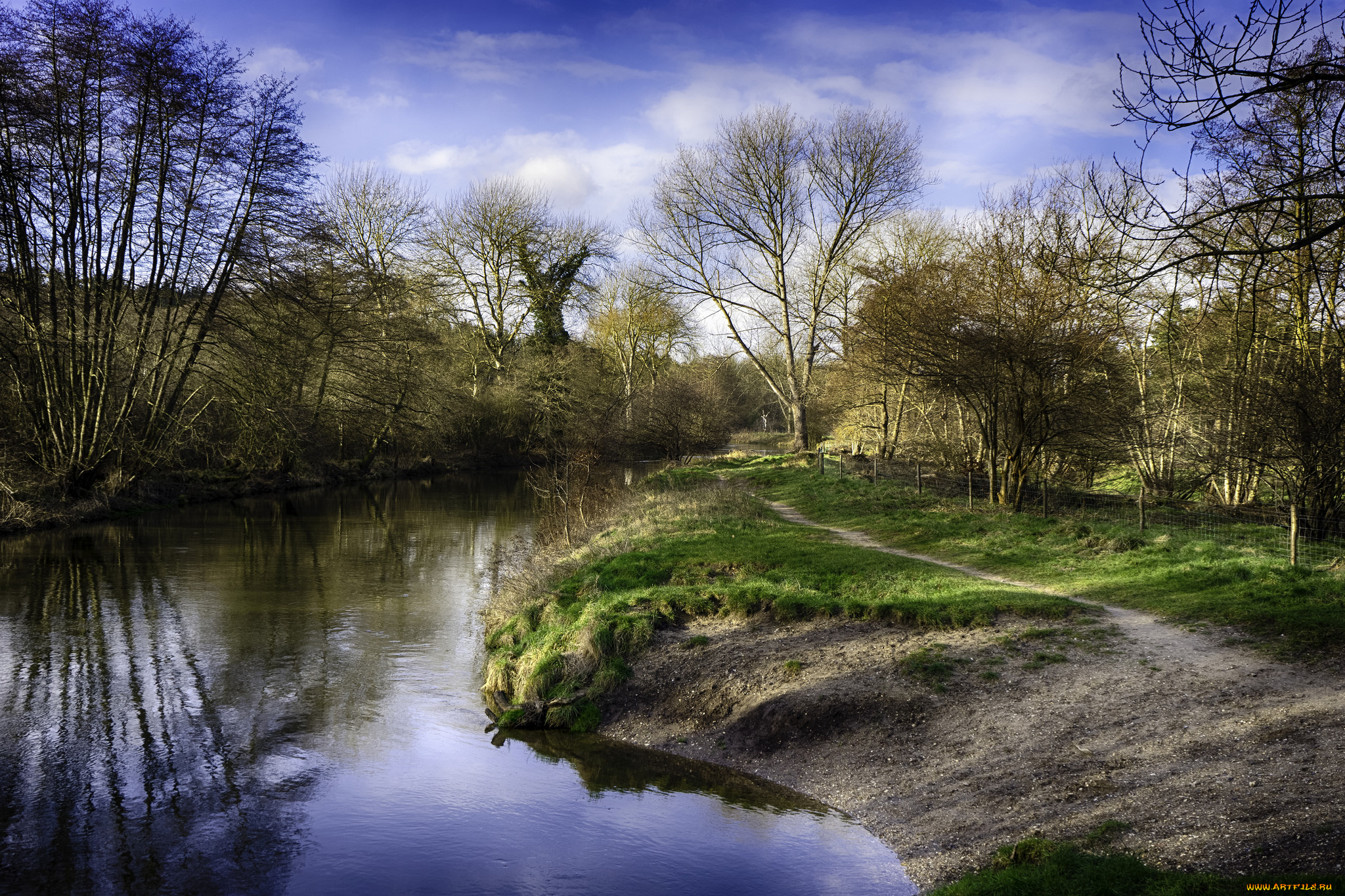 природа, реки, озера, река, лес