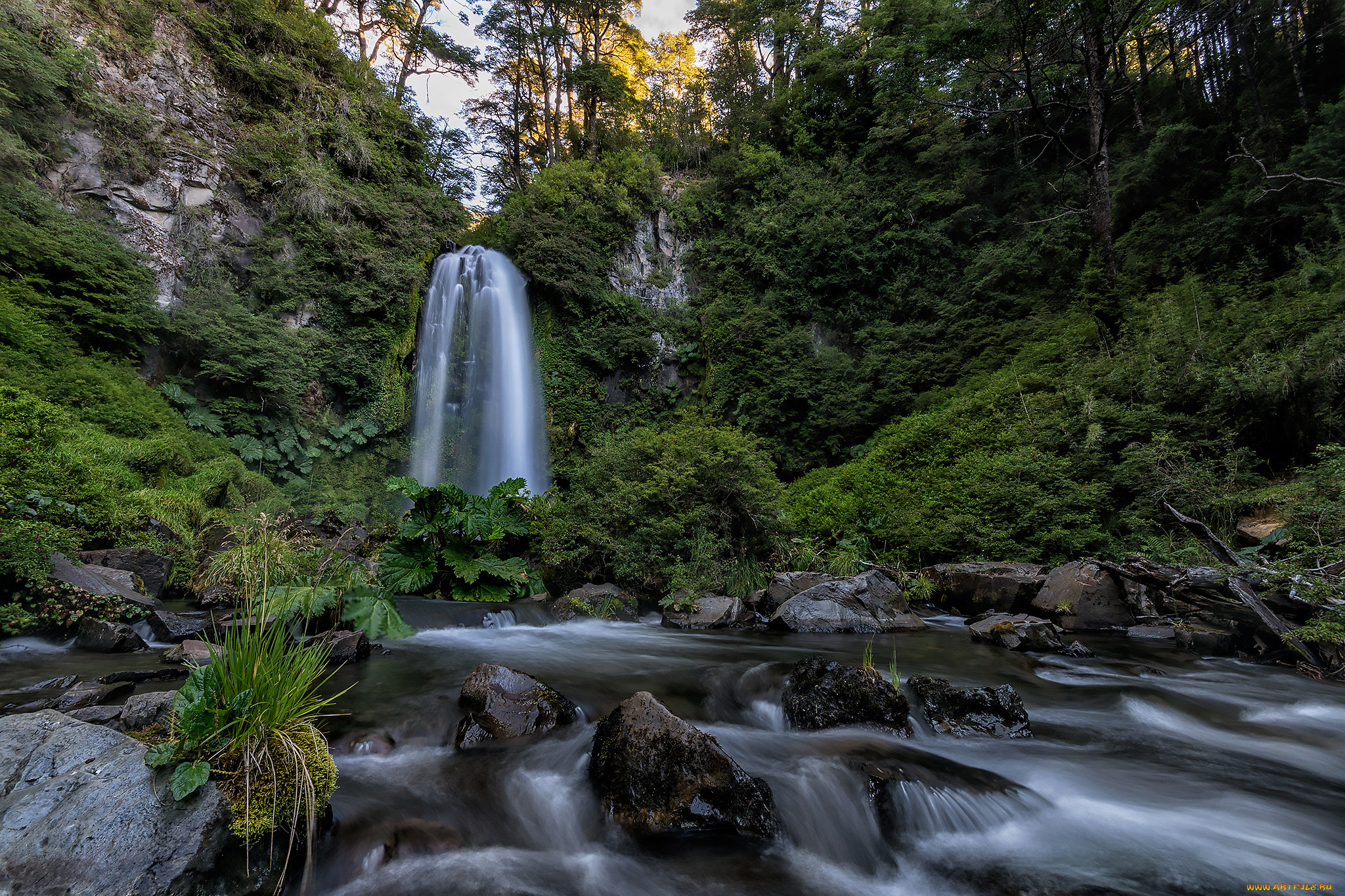 природа, водопады, река, водопад, лес