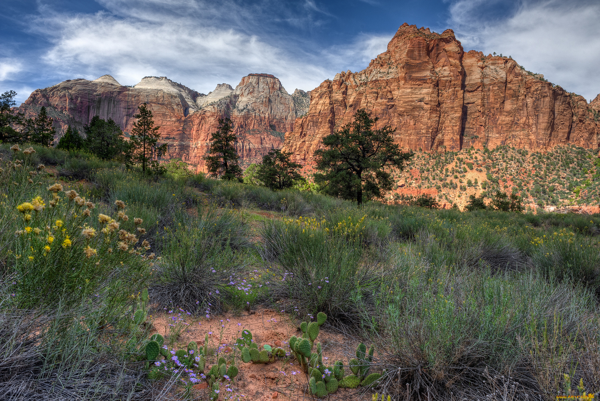 природа, горы, цветы, трава, скалы