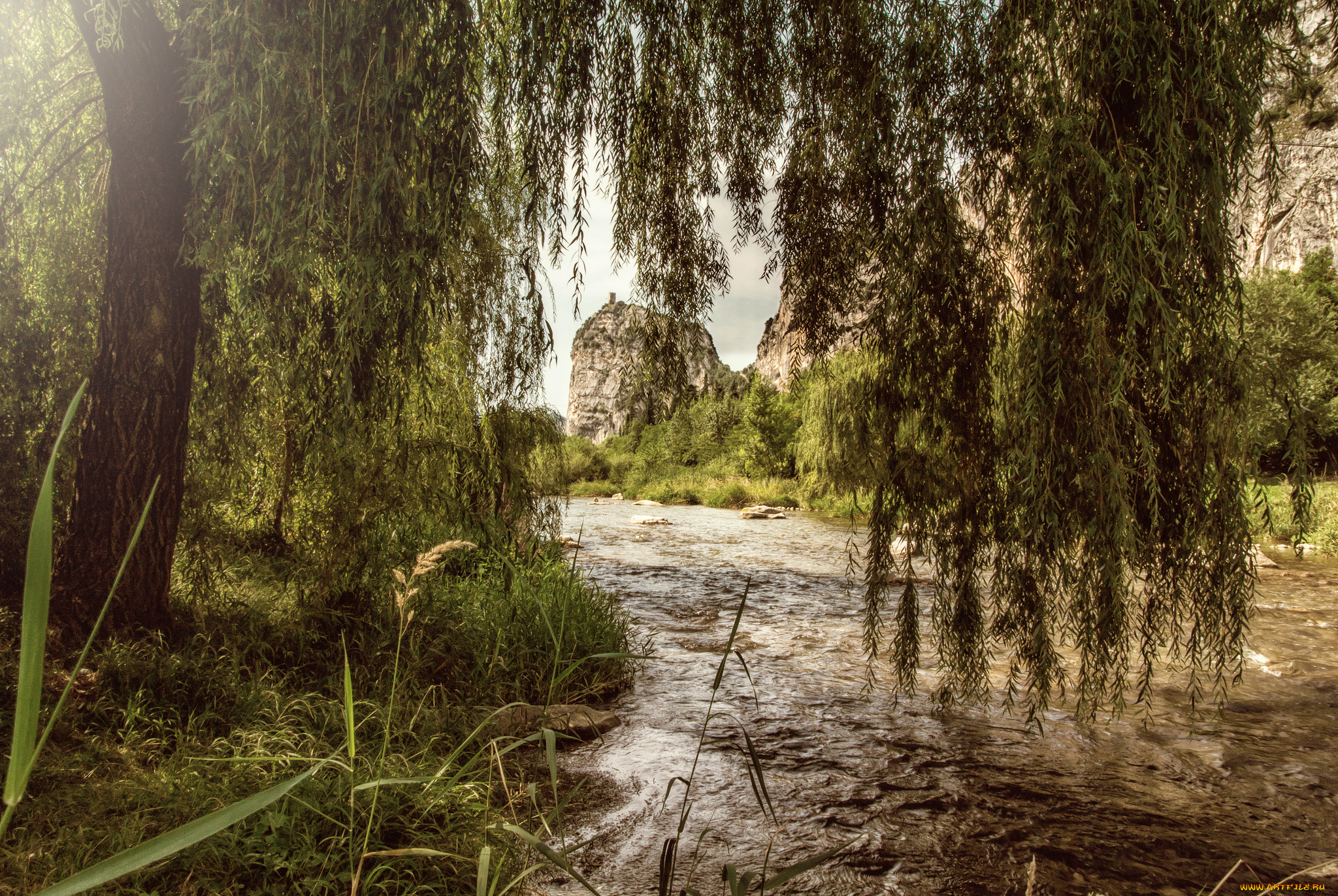 природа, реки, озера, река, лес