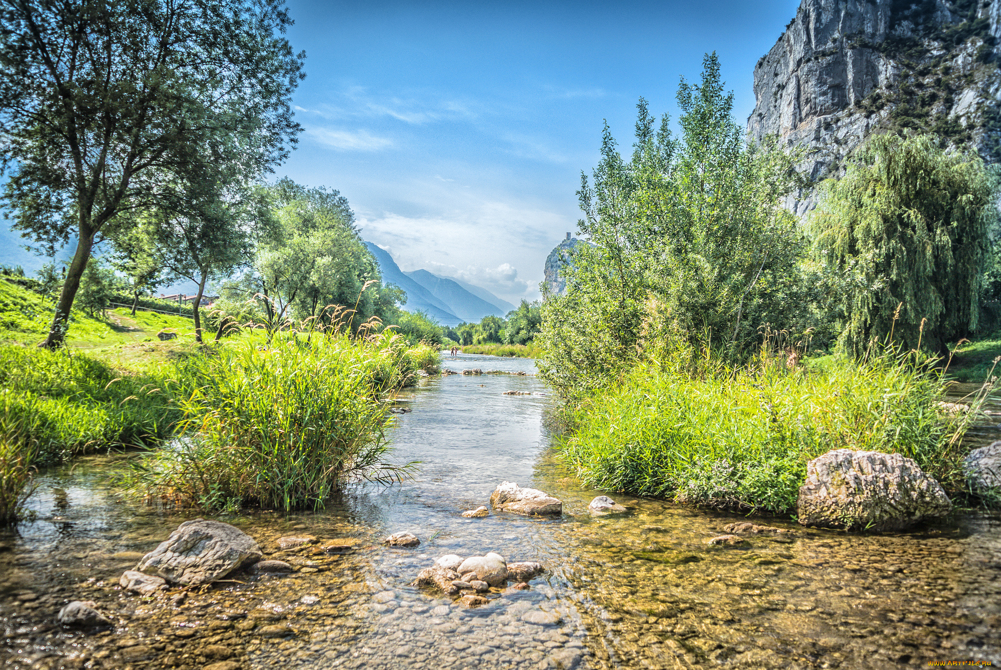 природа, реки, озера, река, лес