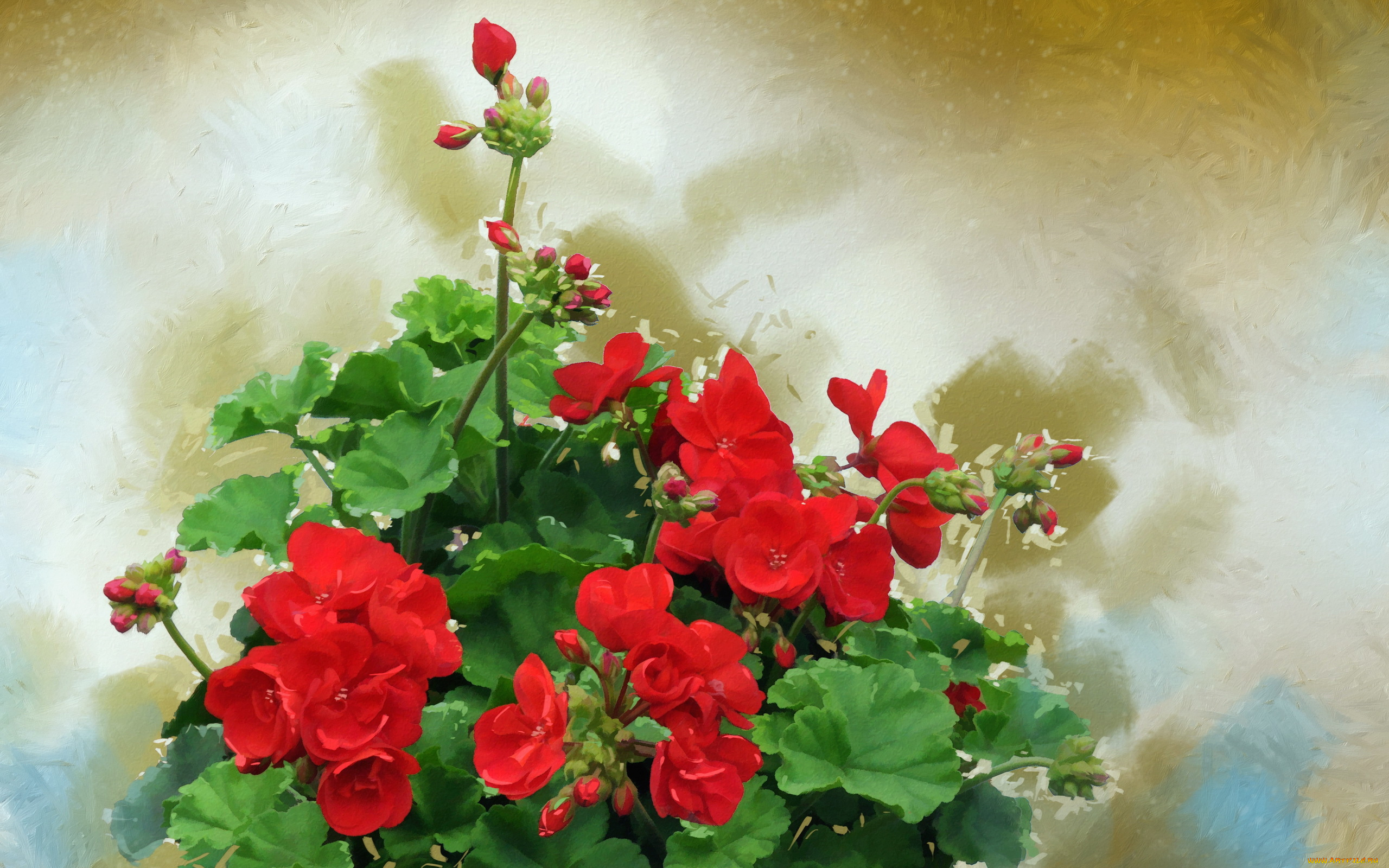 разное, компьютерный, дизайн, цветы, фон, текстура