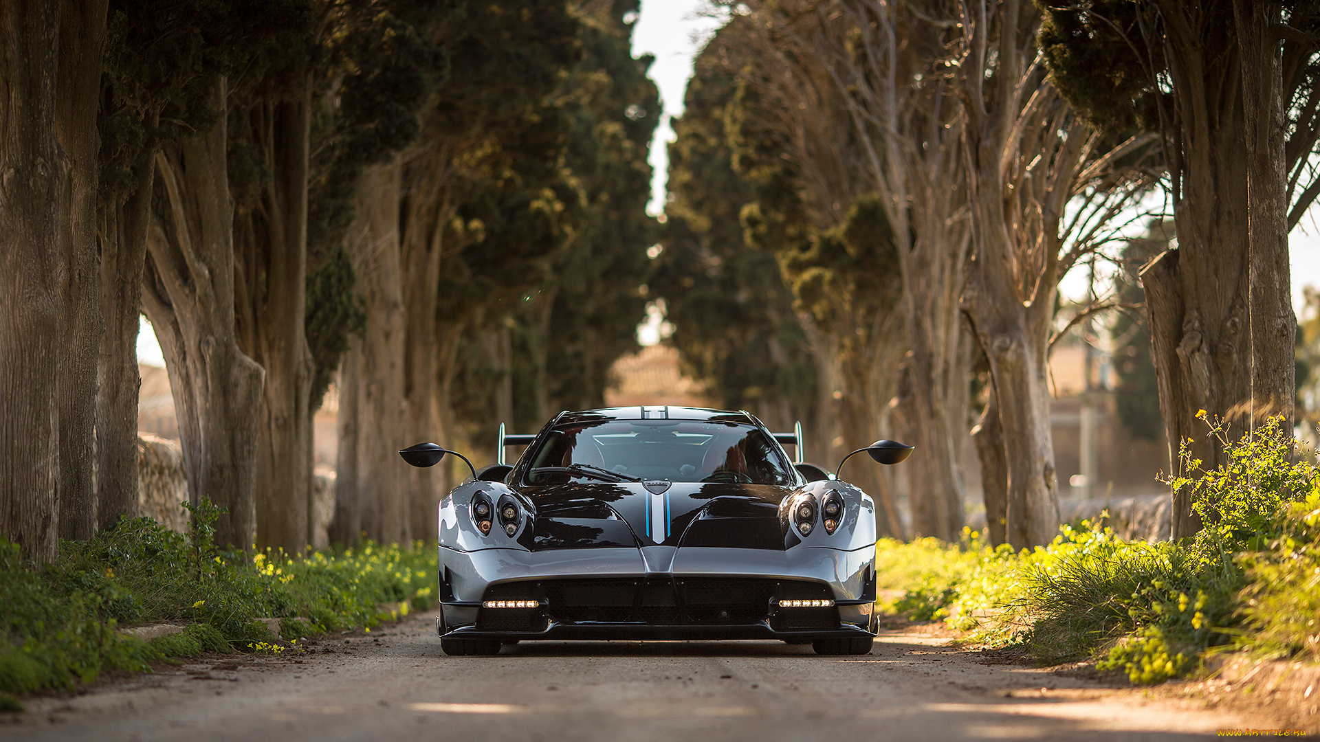 автомобили, pagani