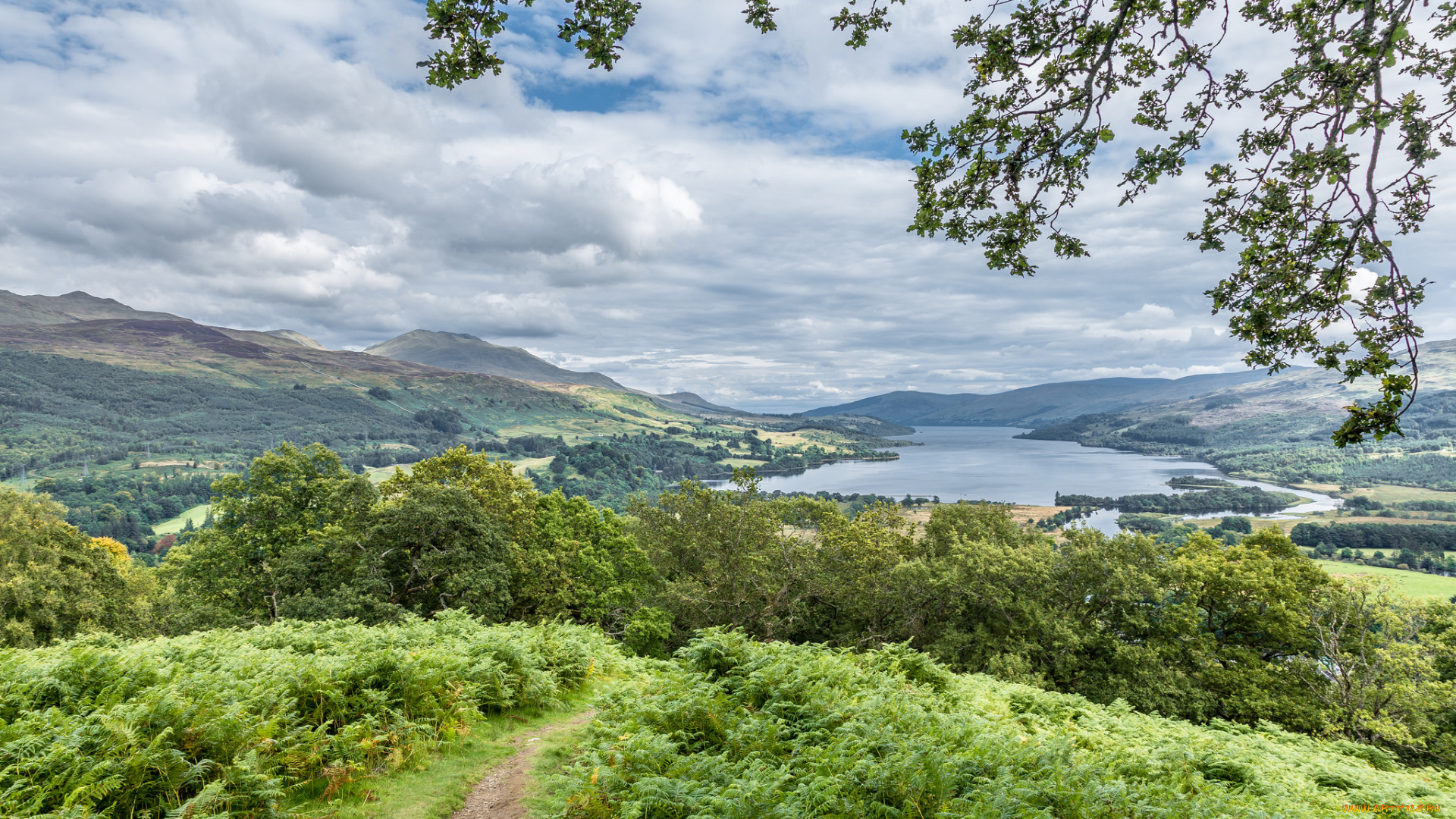 природа, пейзажи, простор