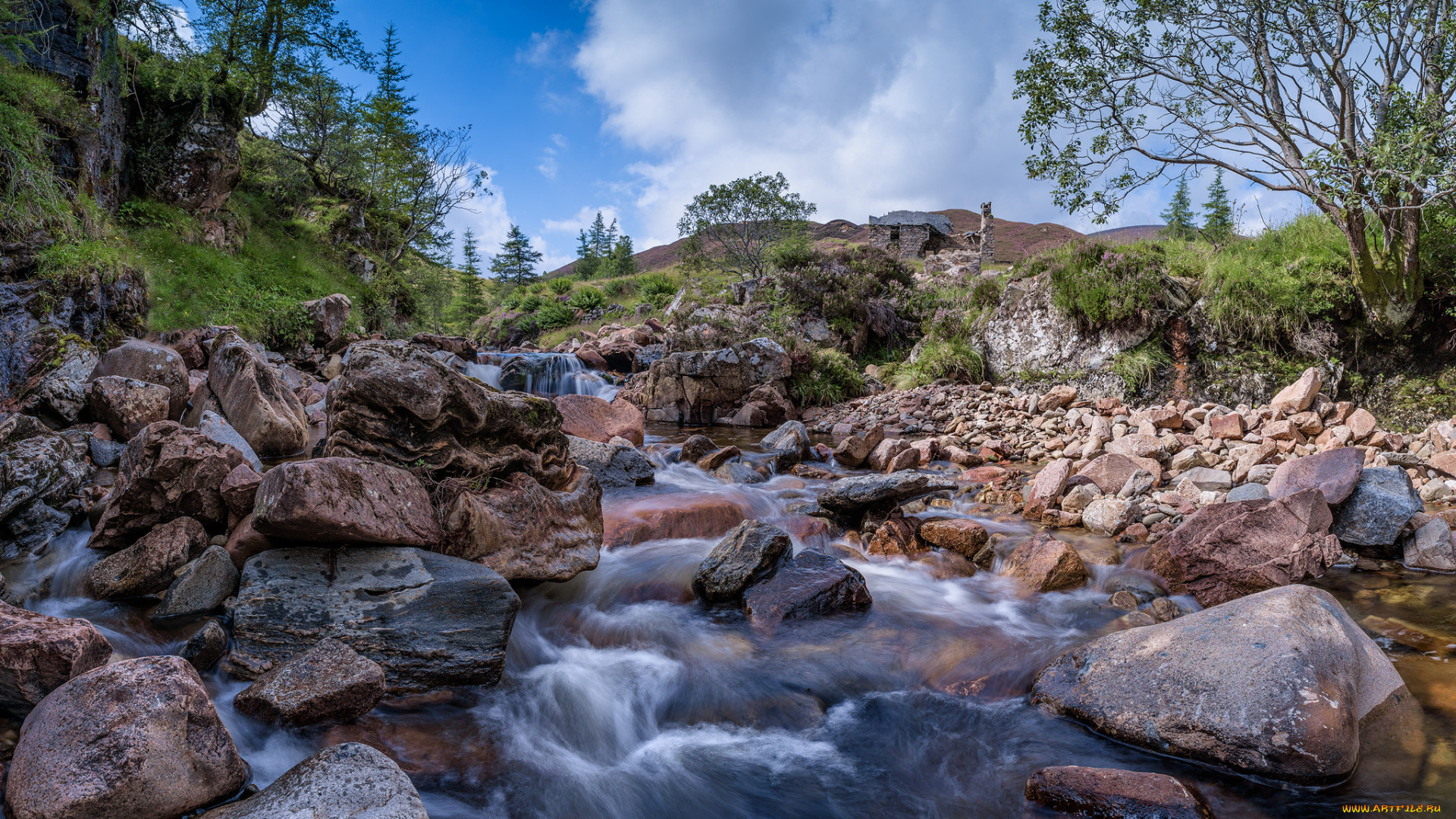 природа, реки, озера, река, лес