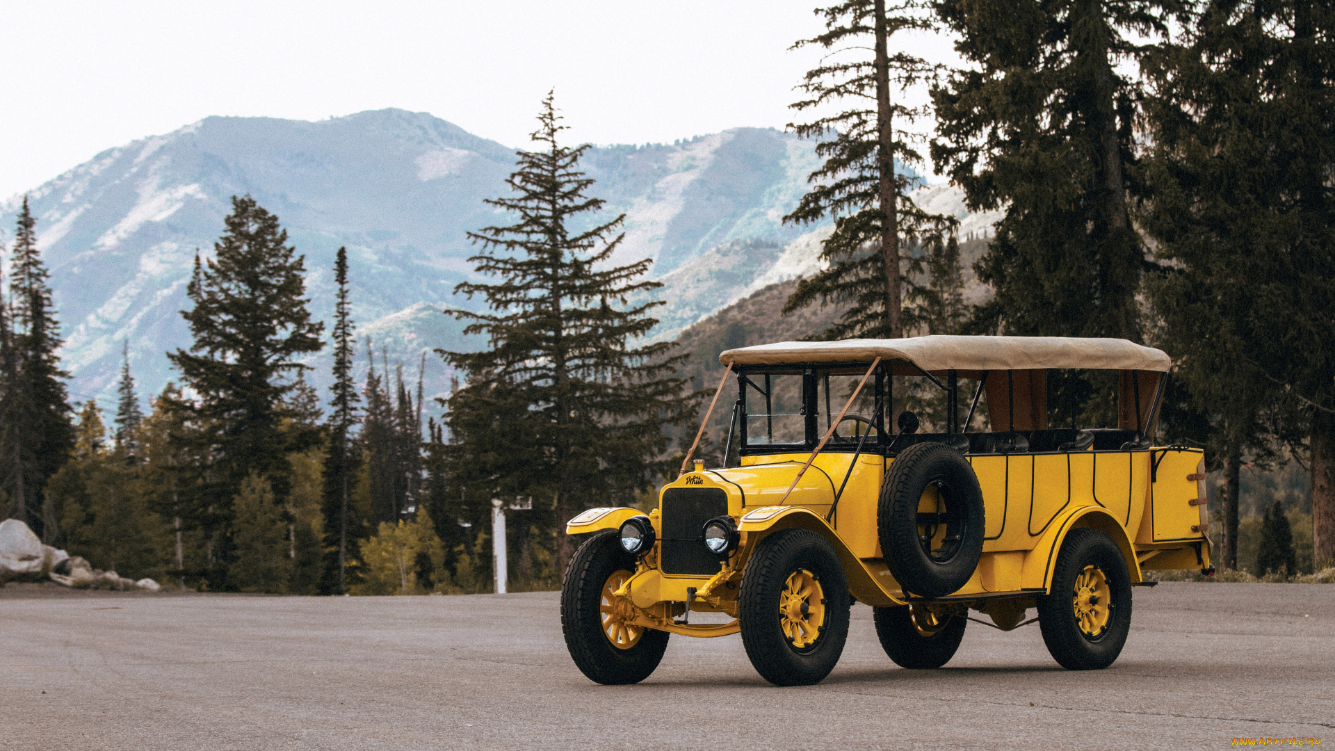 white, model, 15-45, yellowstone, park, tour, bus, by, bender, автомобили, автобусы, classic