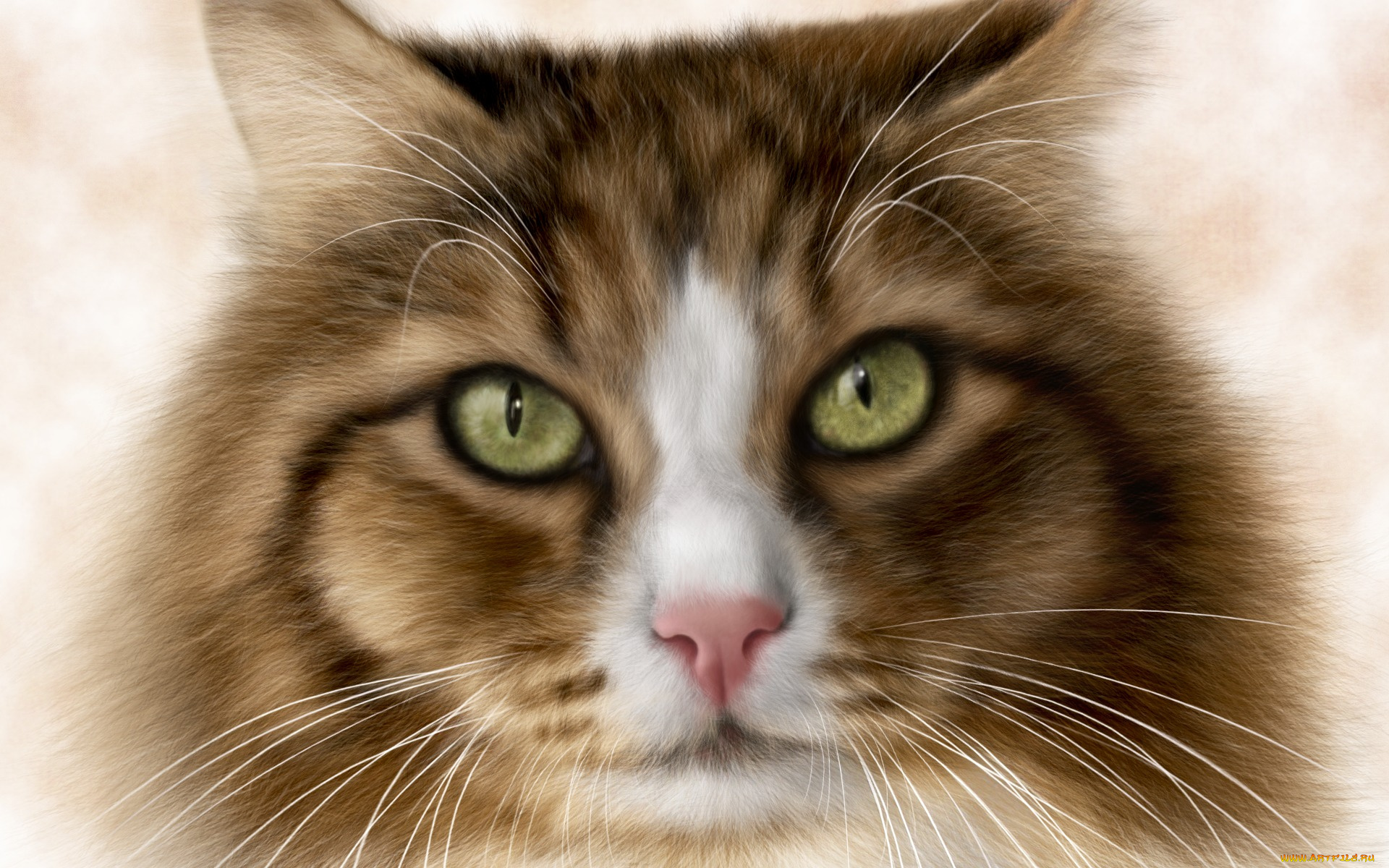 рисованное, животные, , коты, глаза, кот