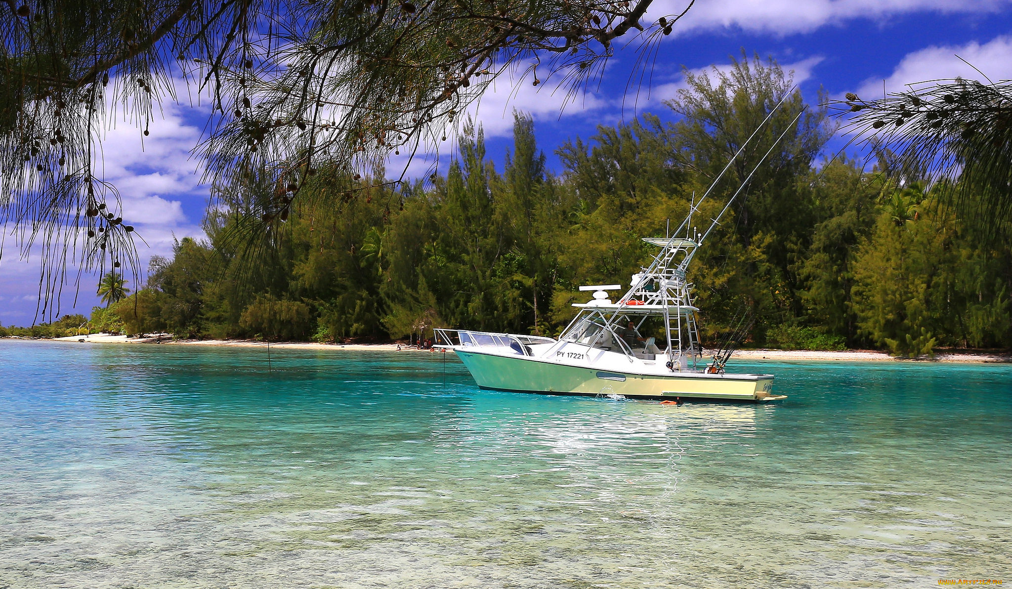 корабли, Яхты, курорт