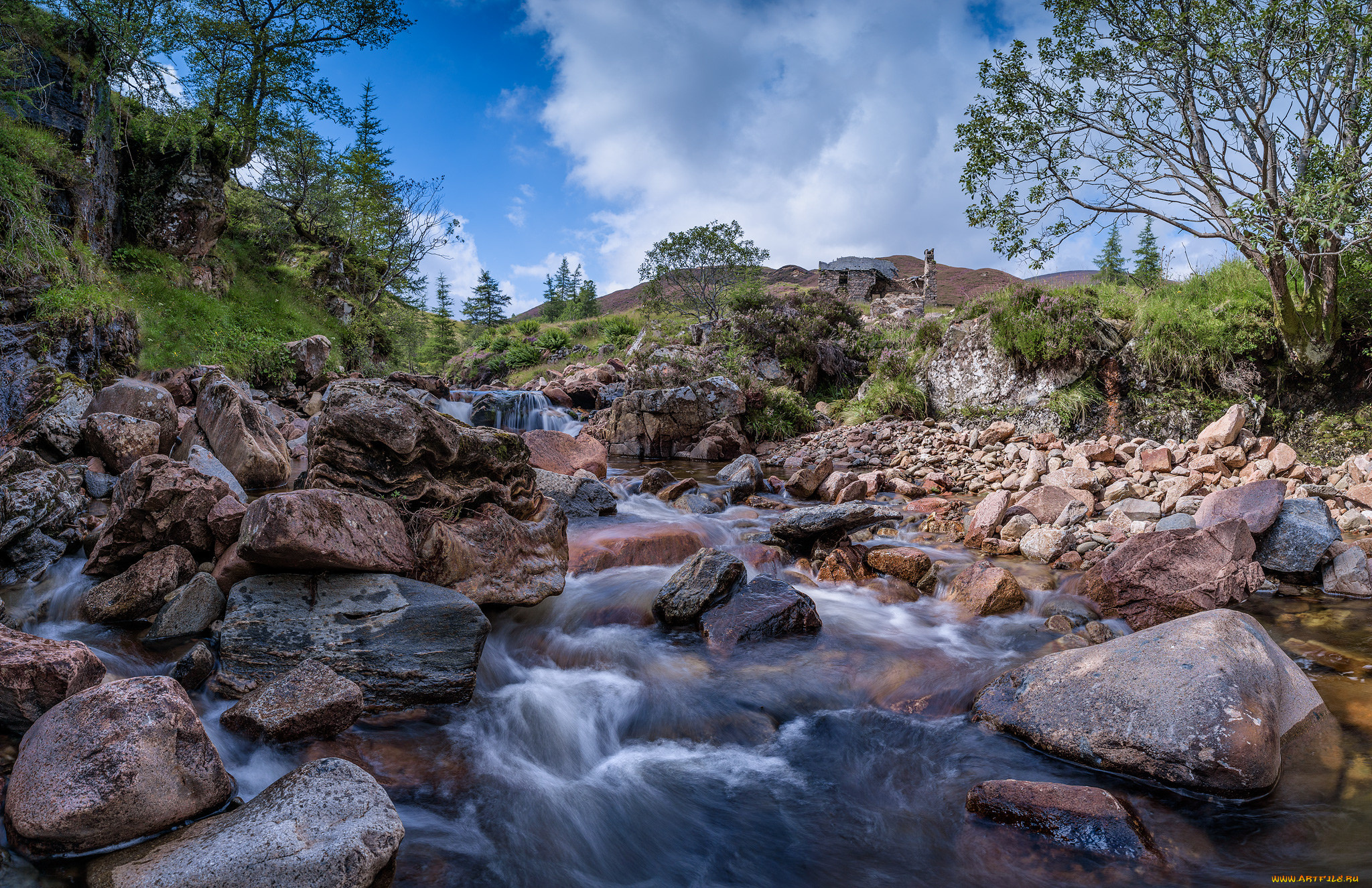 природа, реки, озера, река, лес