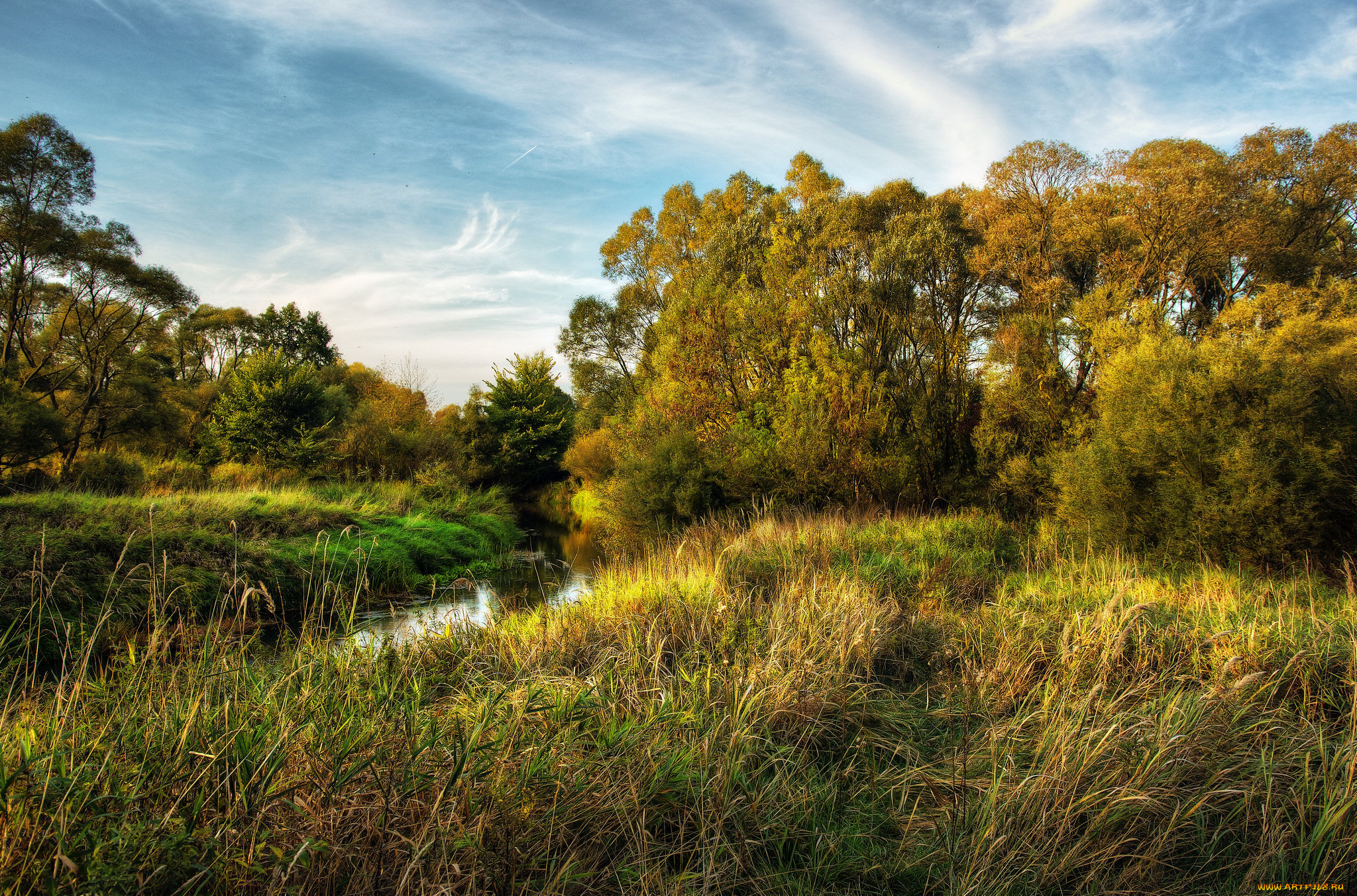 природа, пейзажи, простор