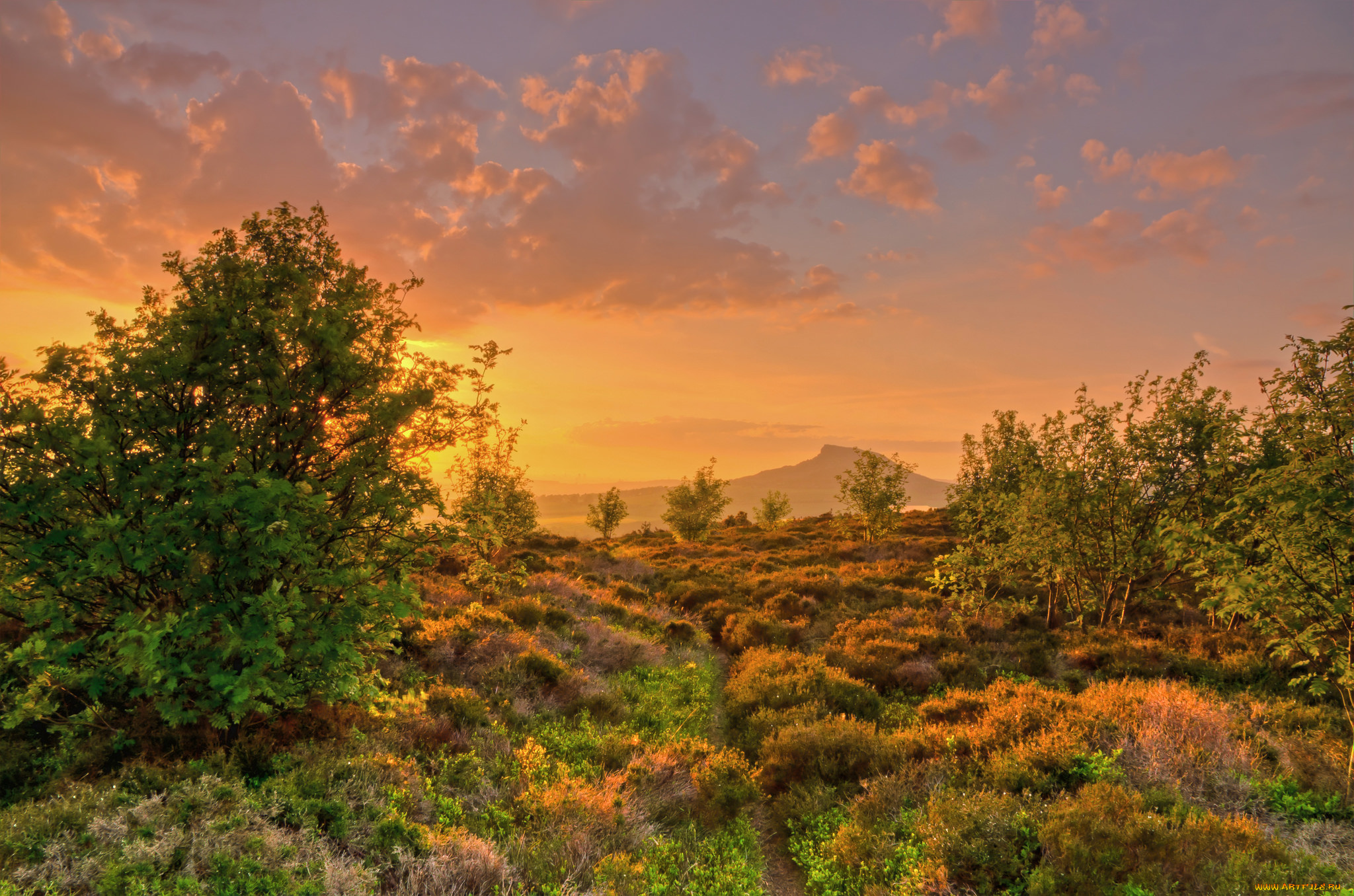 природа, восходы, закаты, рассвет