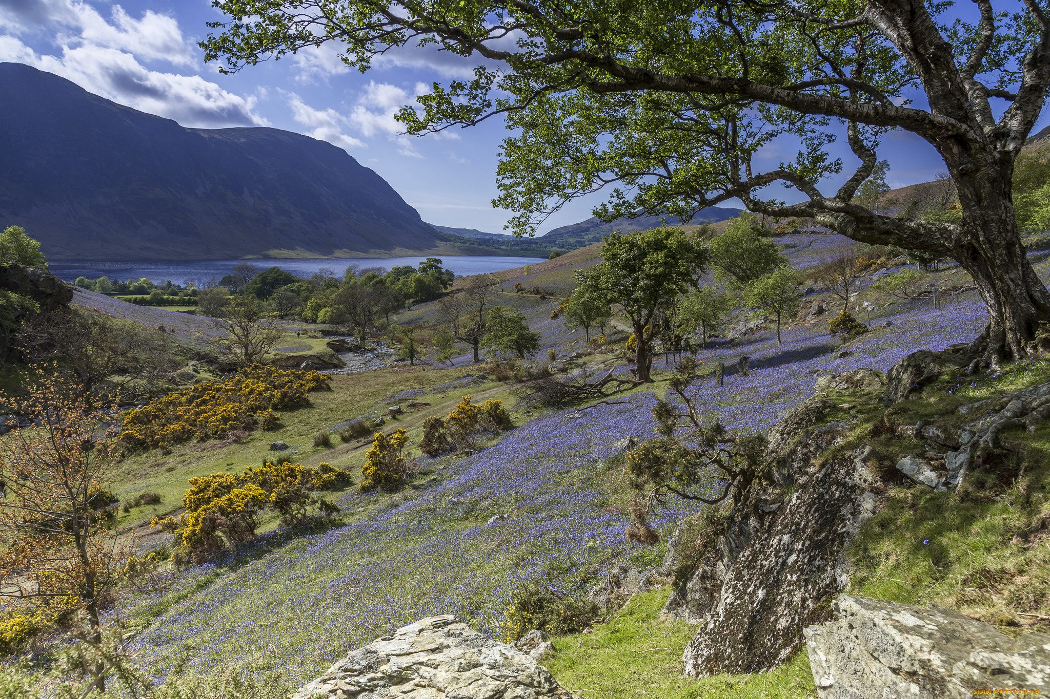 природа, дороги, простор