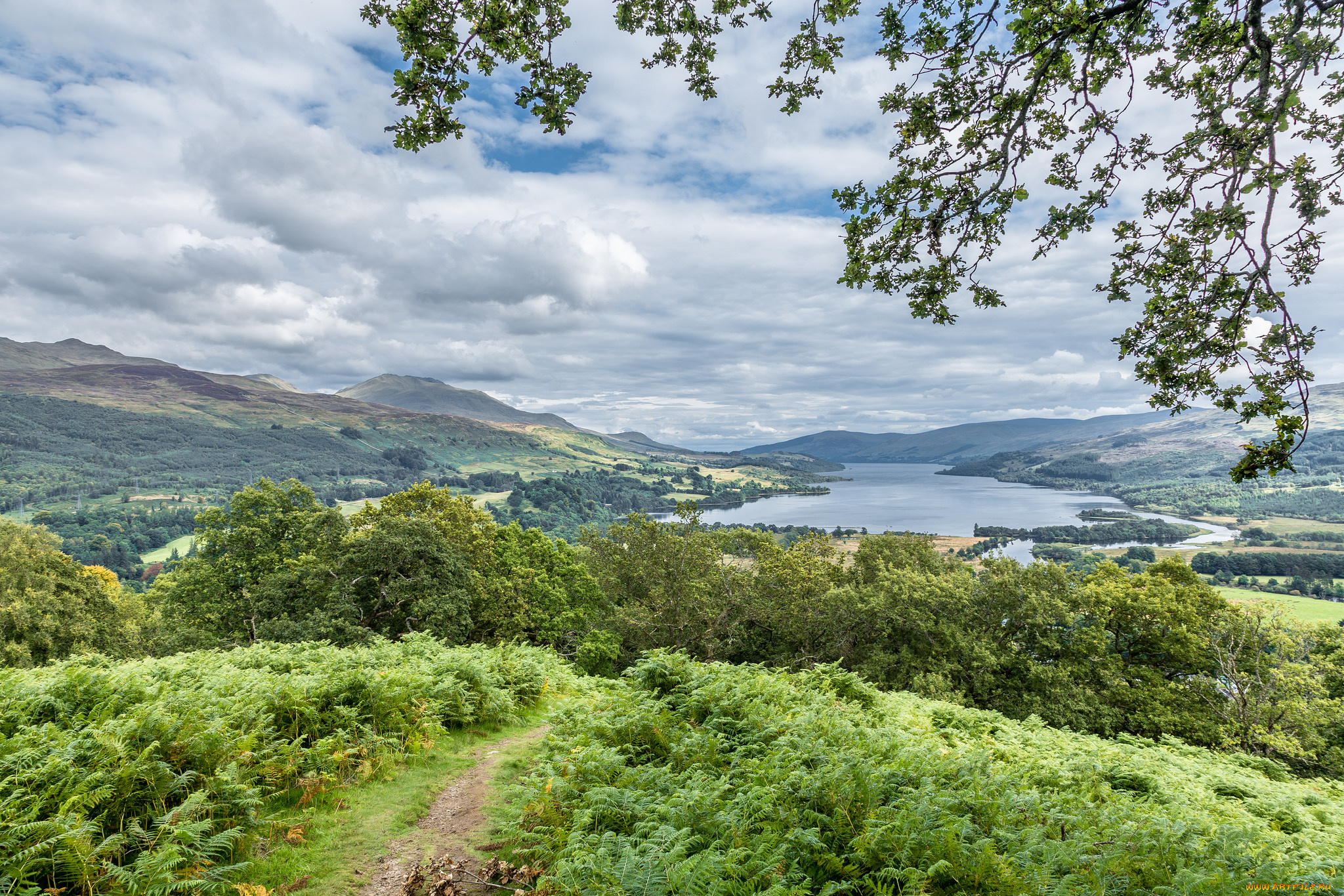 природа, пейзажи, простор