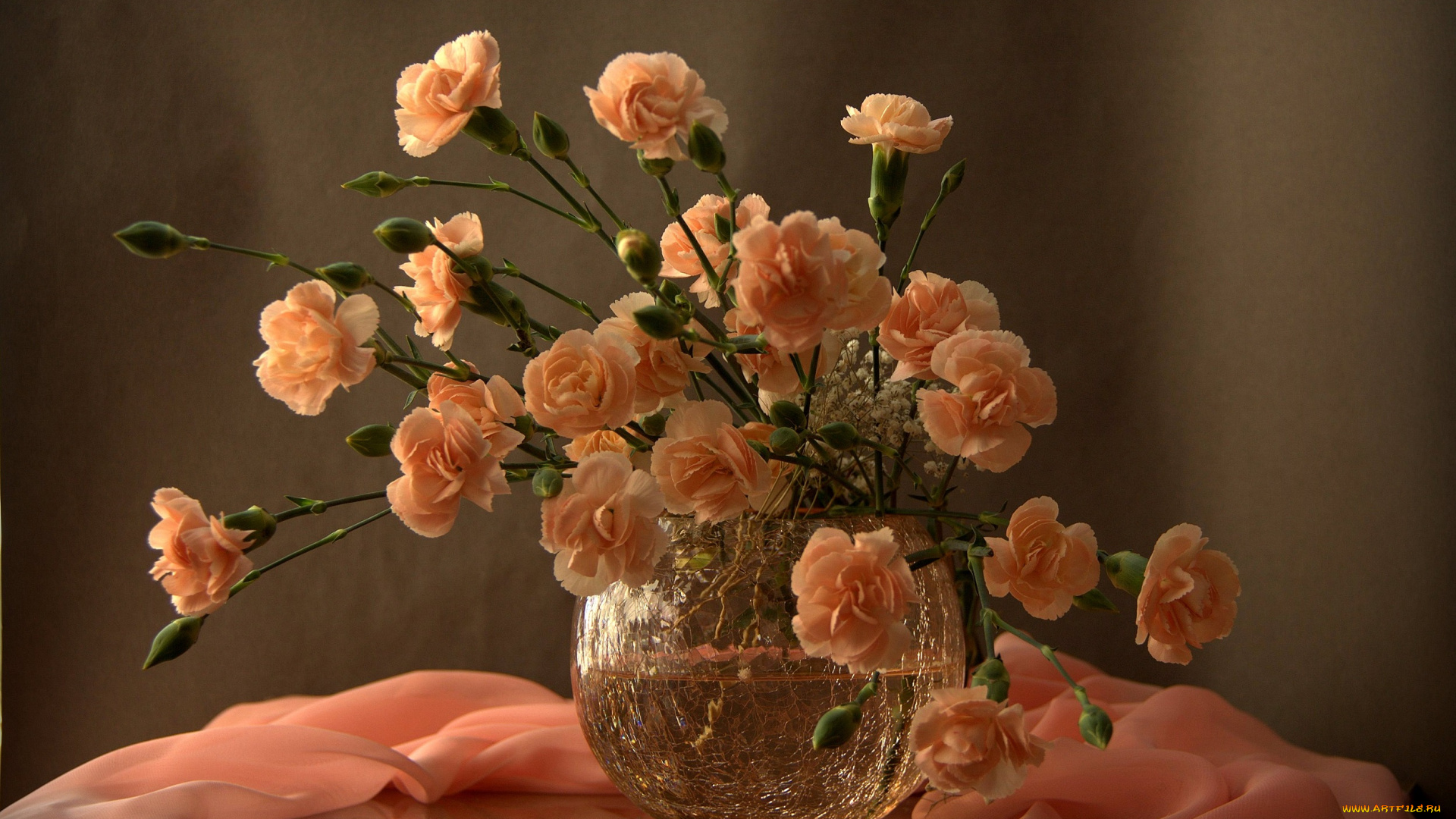 цветы, гвоздики, шабо, натюрморт, фотонатюрморт, свет, и, тени, с, цветами