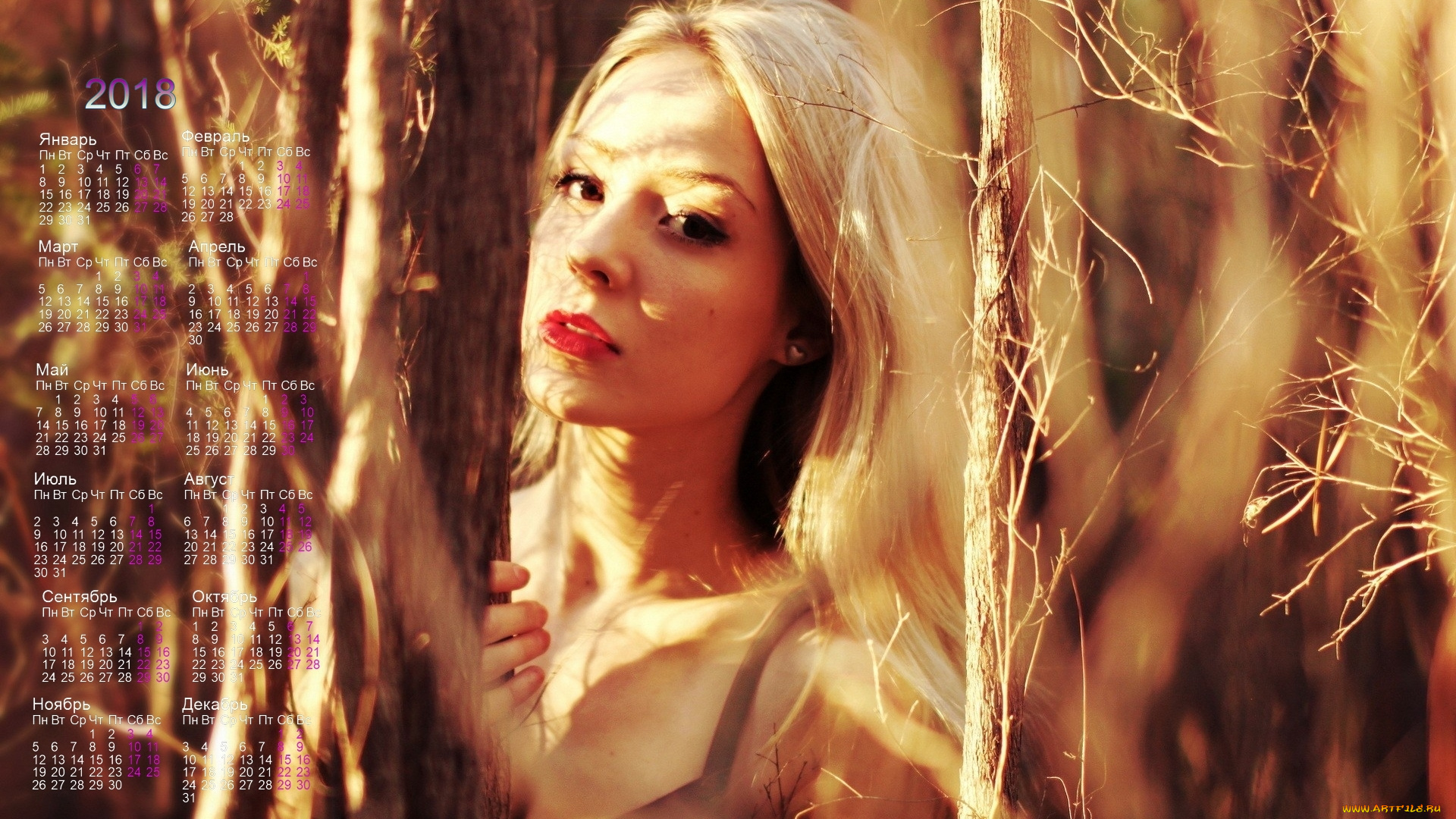 календари, девушки, деревья, взгляд