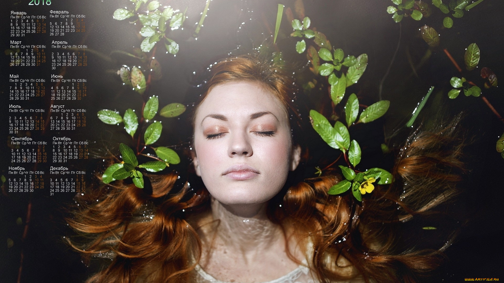 календари, девушки, лицо, вода, растения