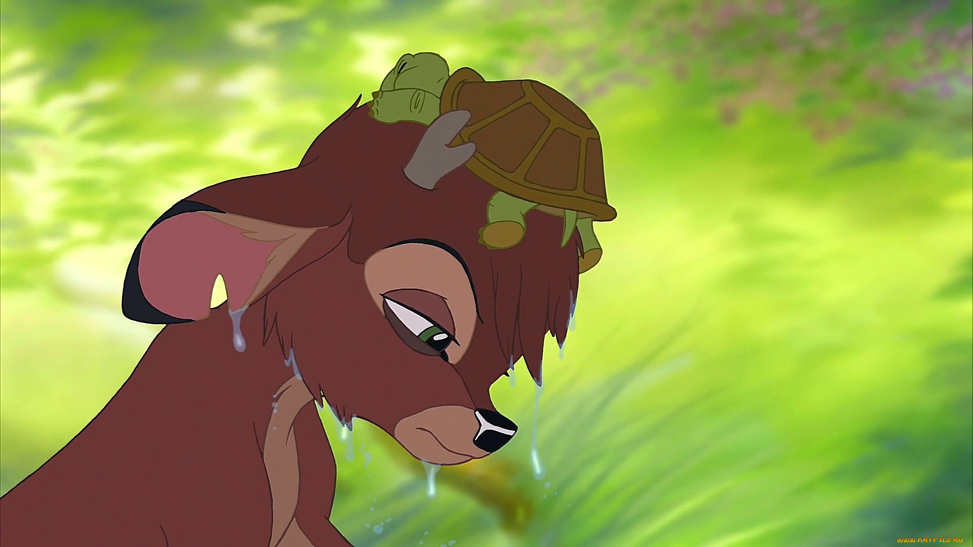 мультфильмы, bambi, 2, олененок, черепаха, морда, капли
