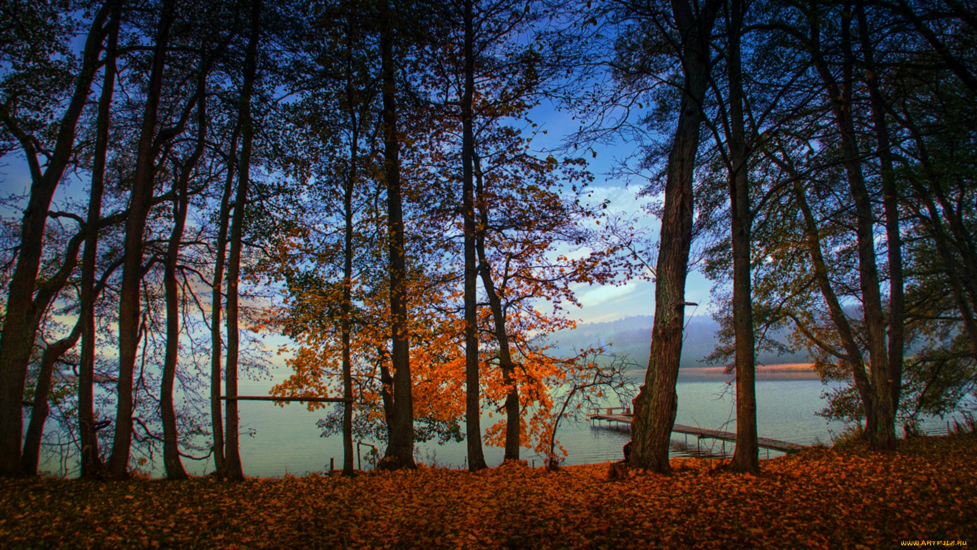 природа, деревья, простор