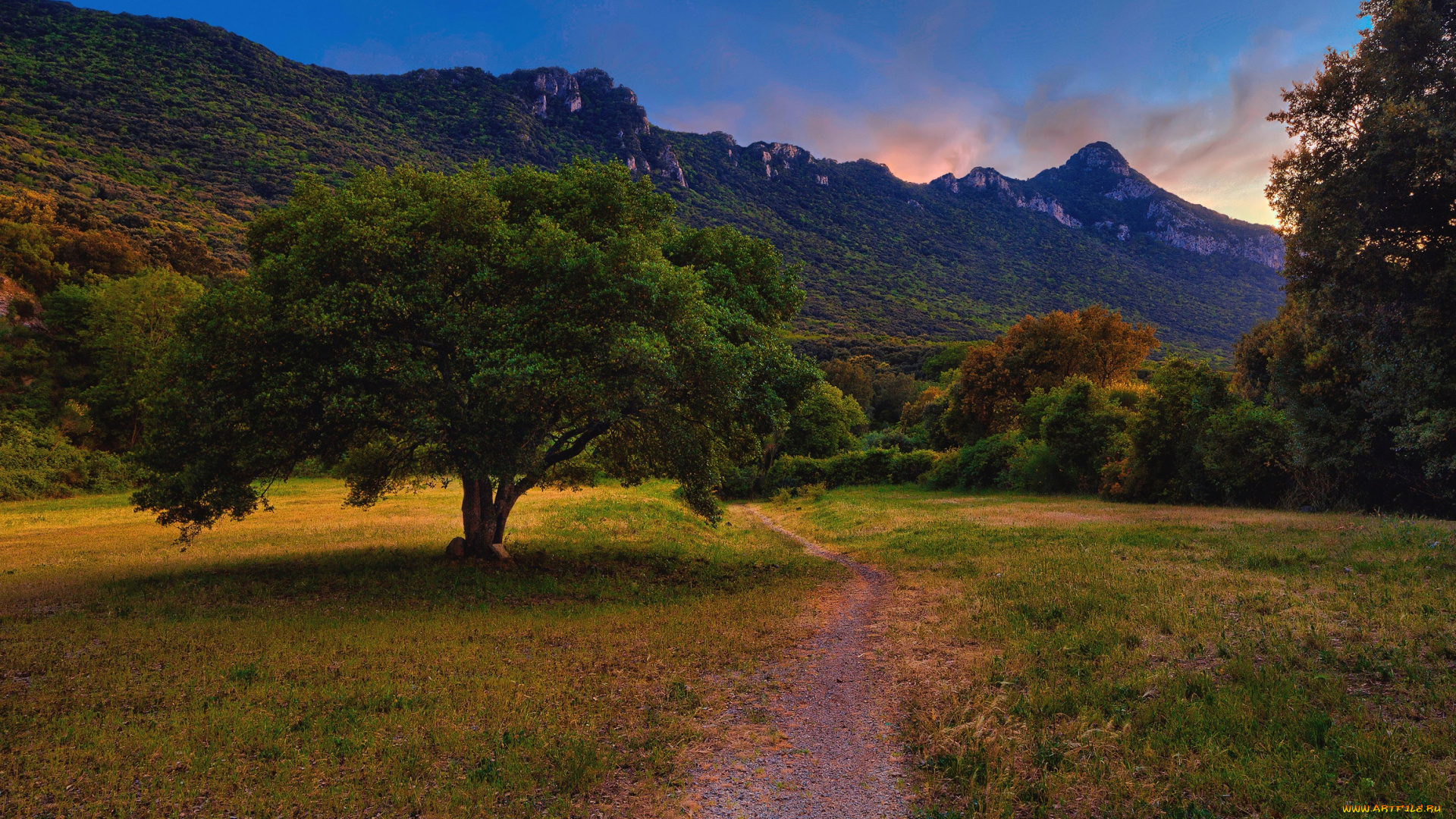 природа, дороги, горы, поляна, тропинка, деревья