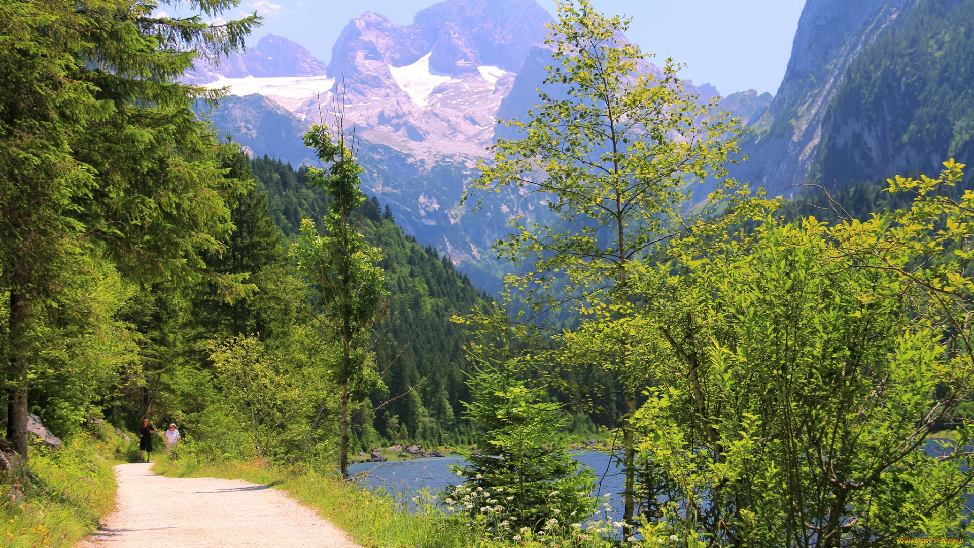 природа, дороги, пейзаж