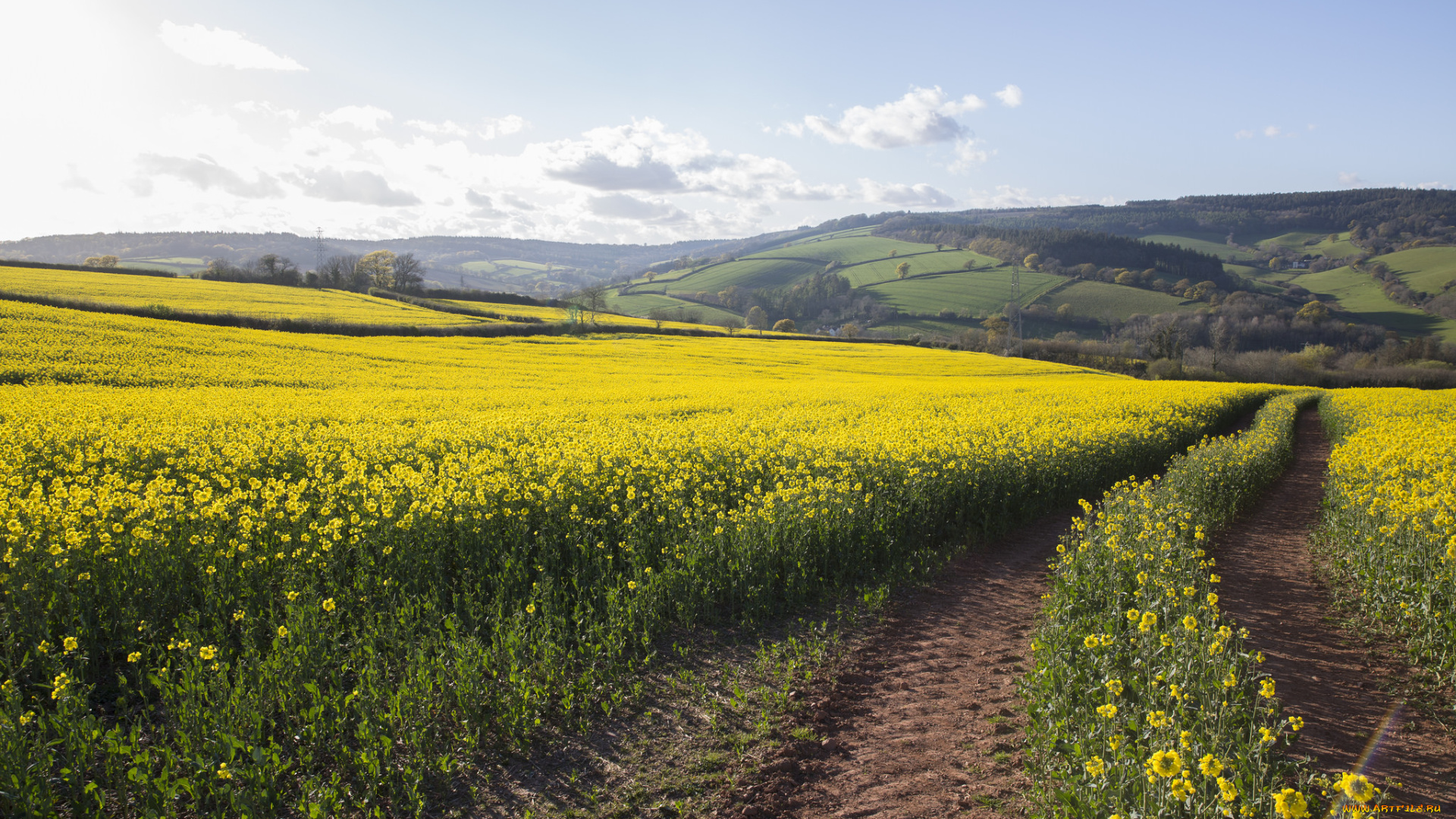 природа, дороги, простор