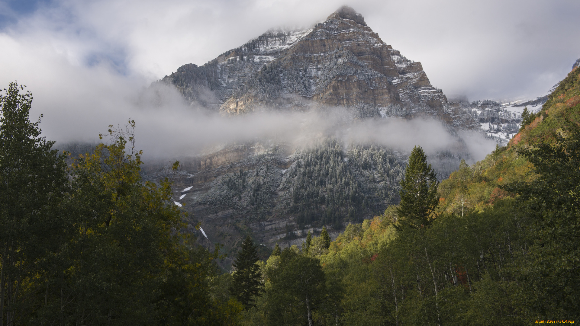 природа, горы, простор