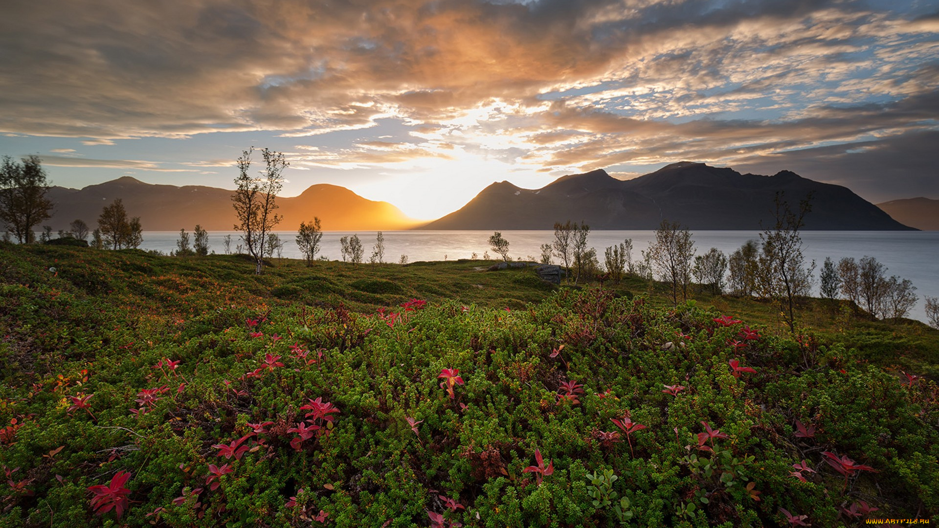 природа, луга, простор