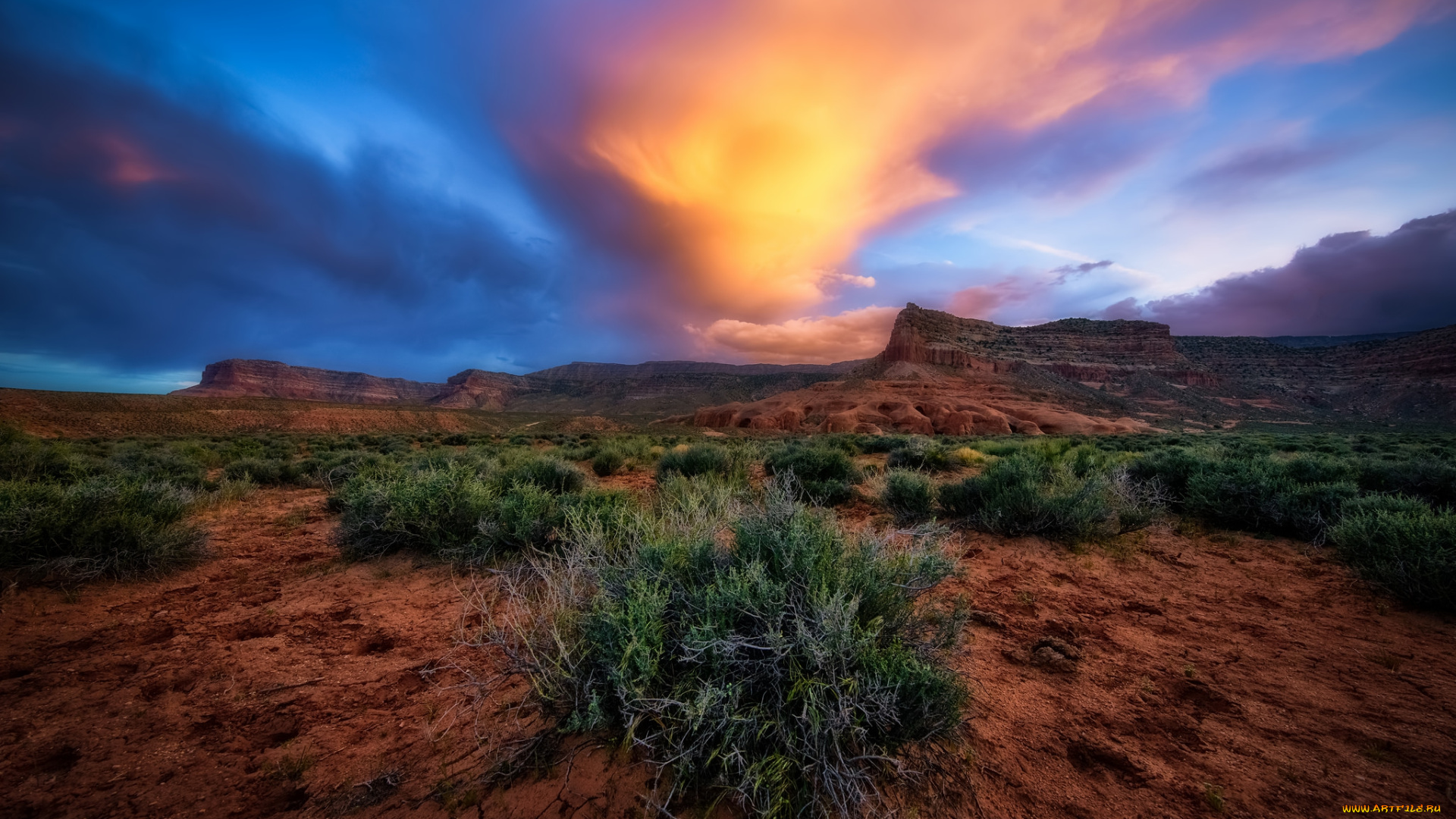 природа, пейзажи, простор