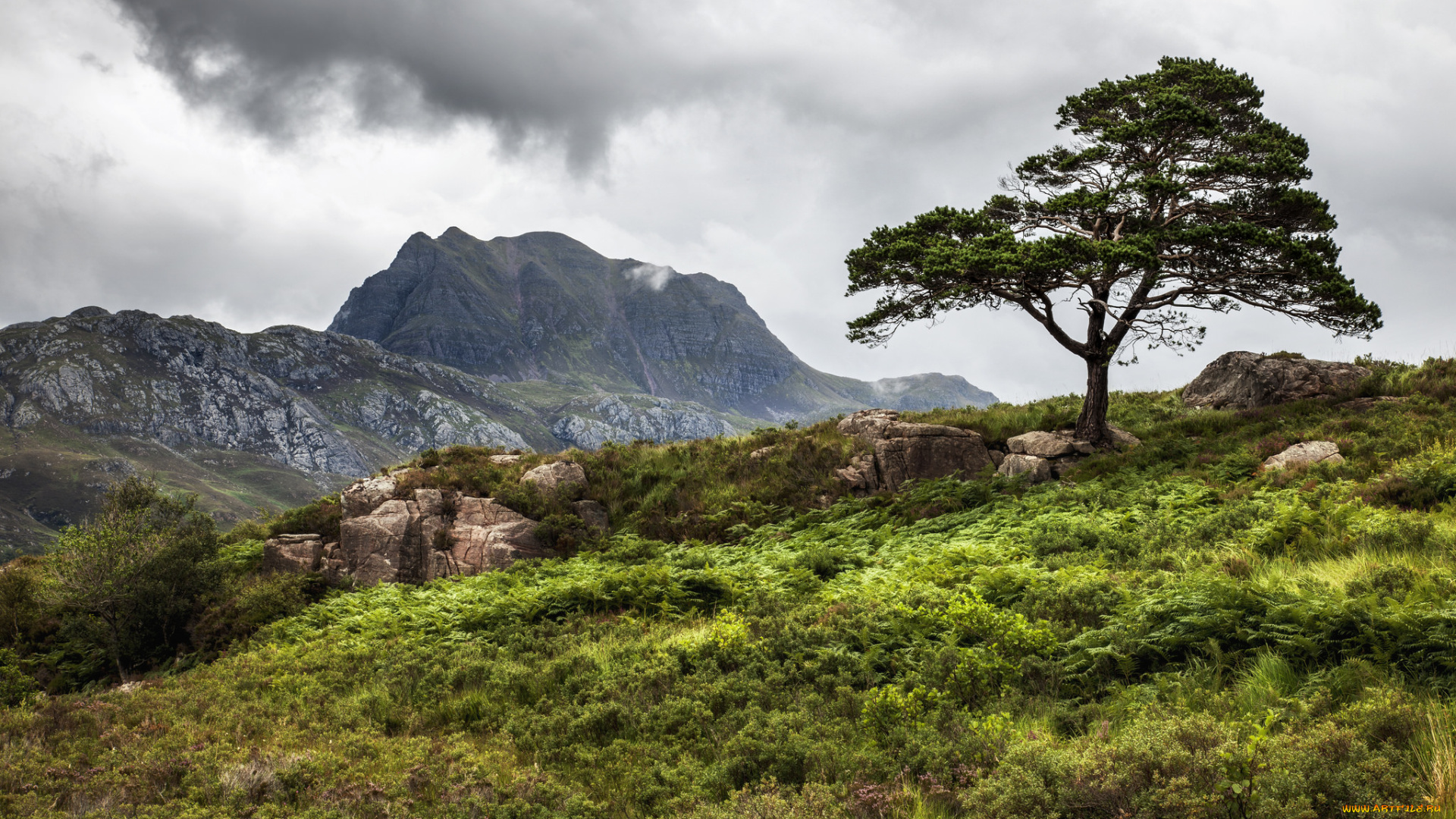 природа, пейзажи, простор