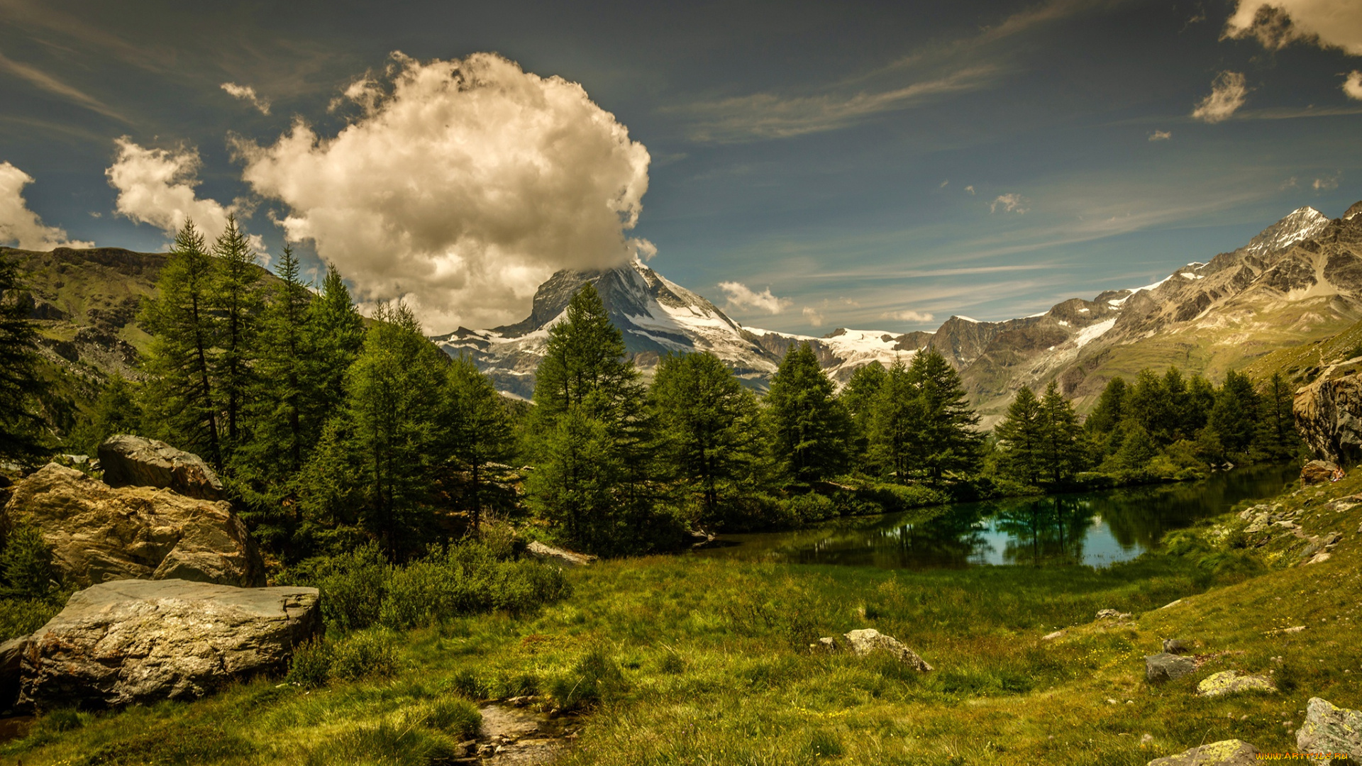 природа, пейзажи, трава, горы, деревья