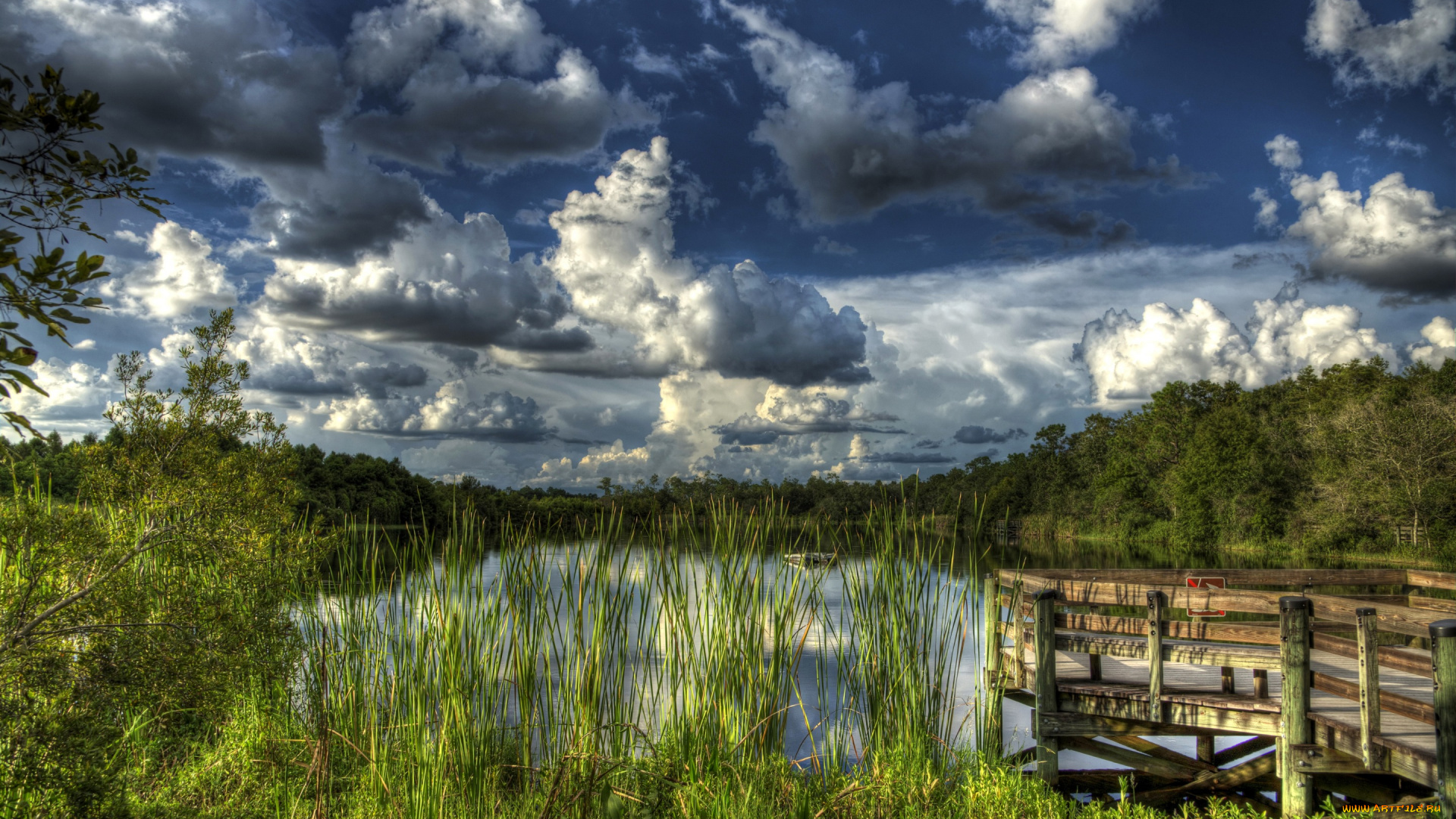 природа, реки, озера, причал, озеро, камыши