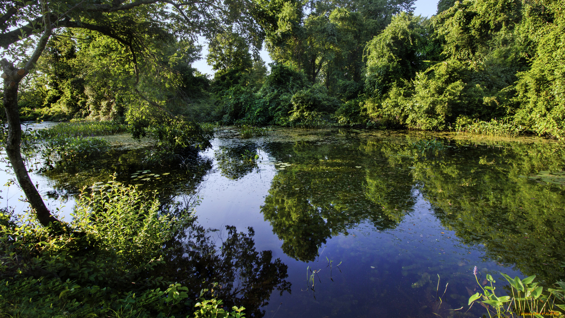 природа, реки, озера, простор