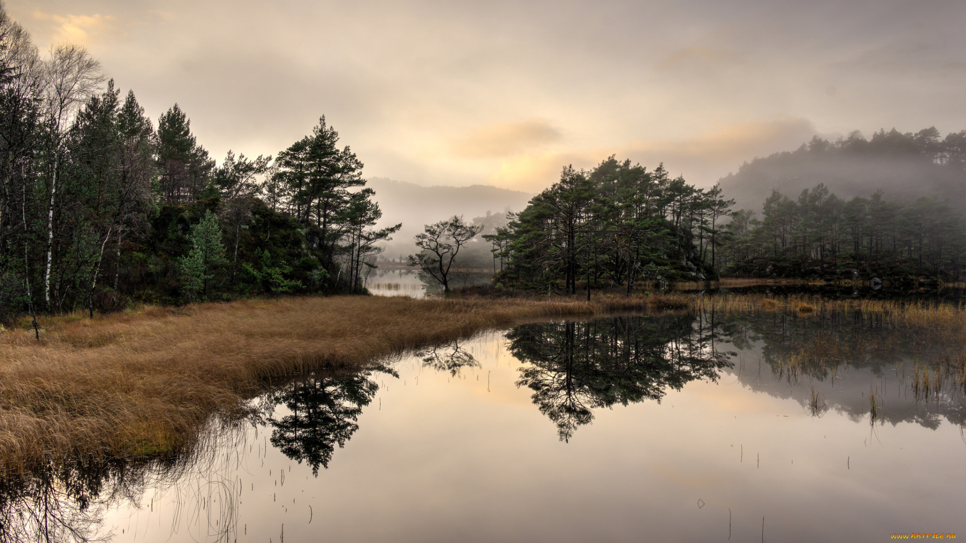 природа, реки, озера, простор