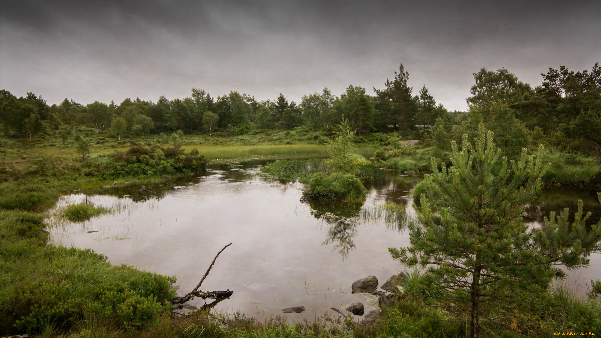 природа, реки, озера, простор