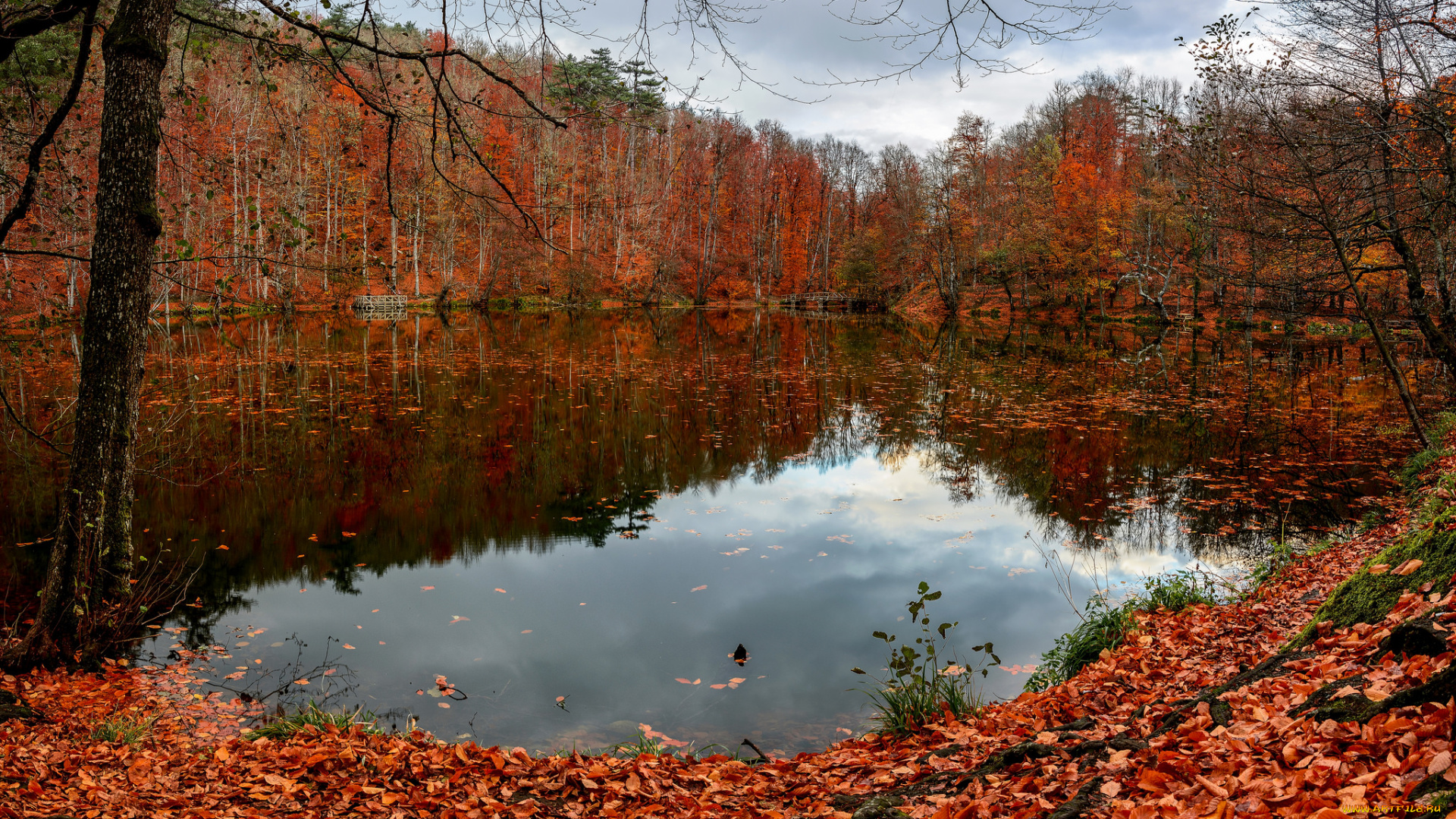 природа, реки, озера, простор