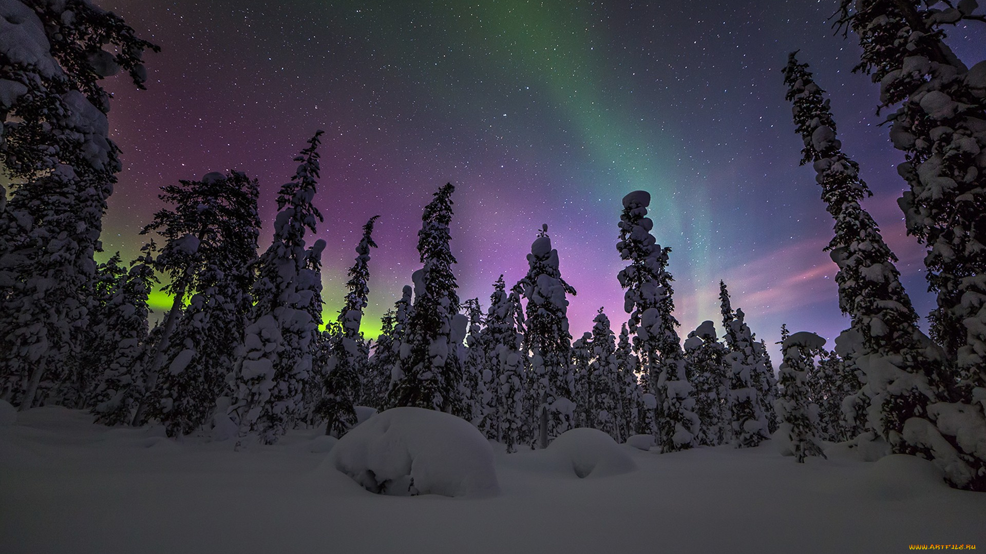 природа, северное, сияние, простор