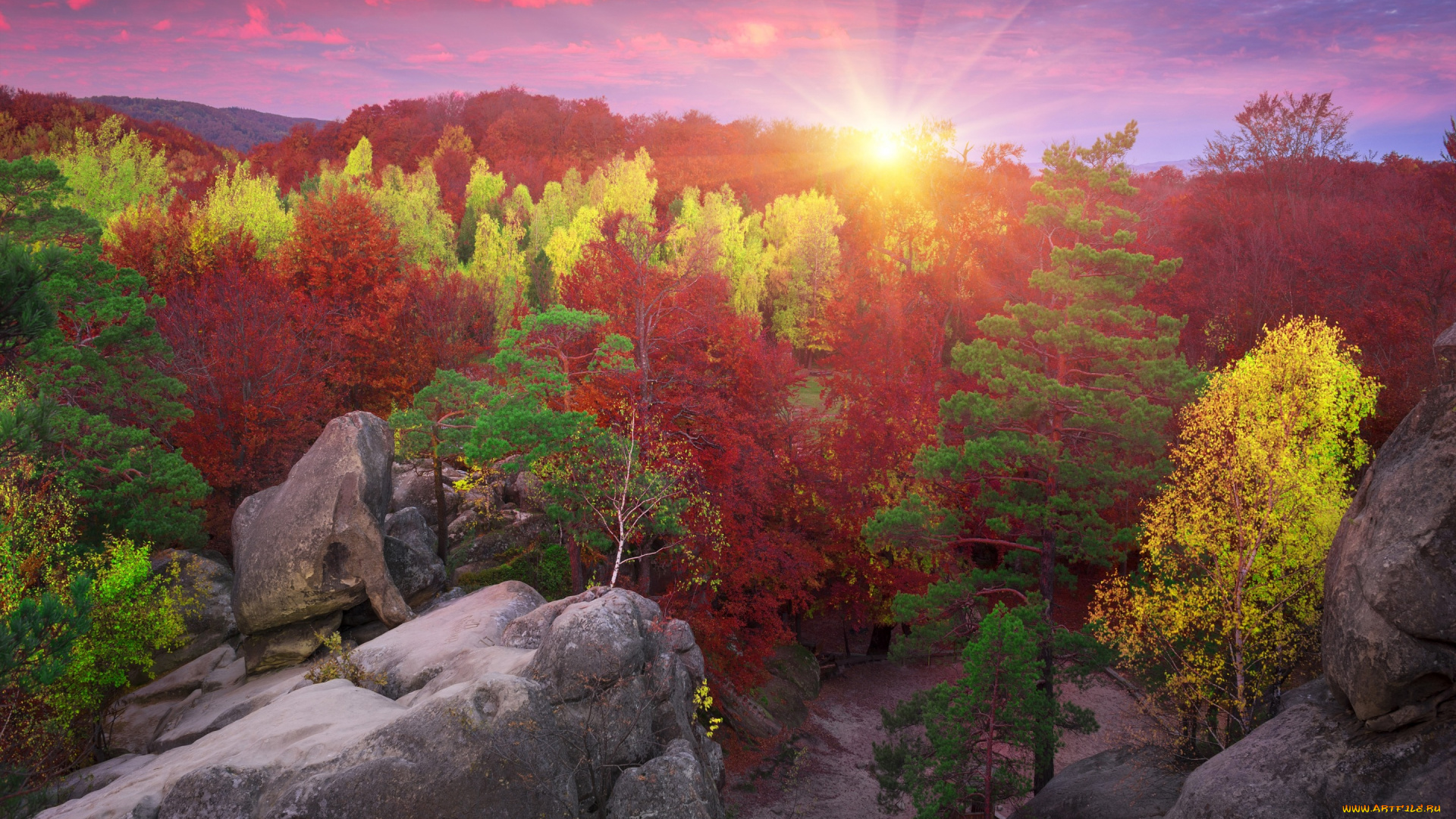 природа, восходы, закаты, лучи, деревья, верхушки, солнце, камни