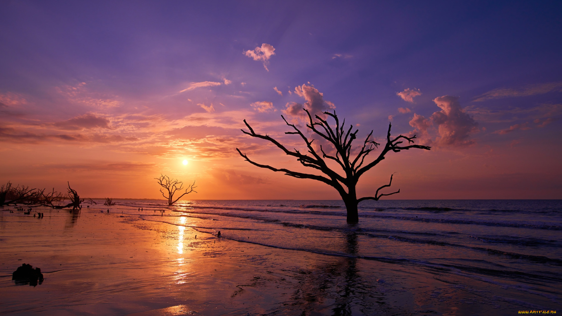 природа, восходы, закаты, простор