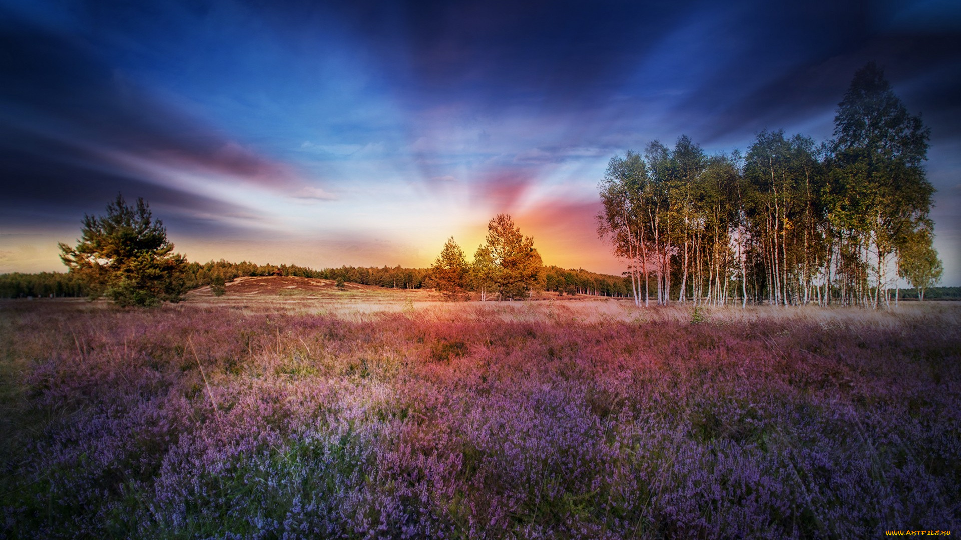 природа, восходы, закаты, простор