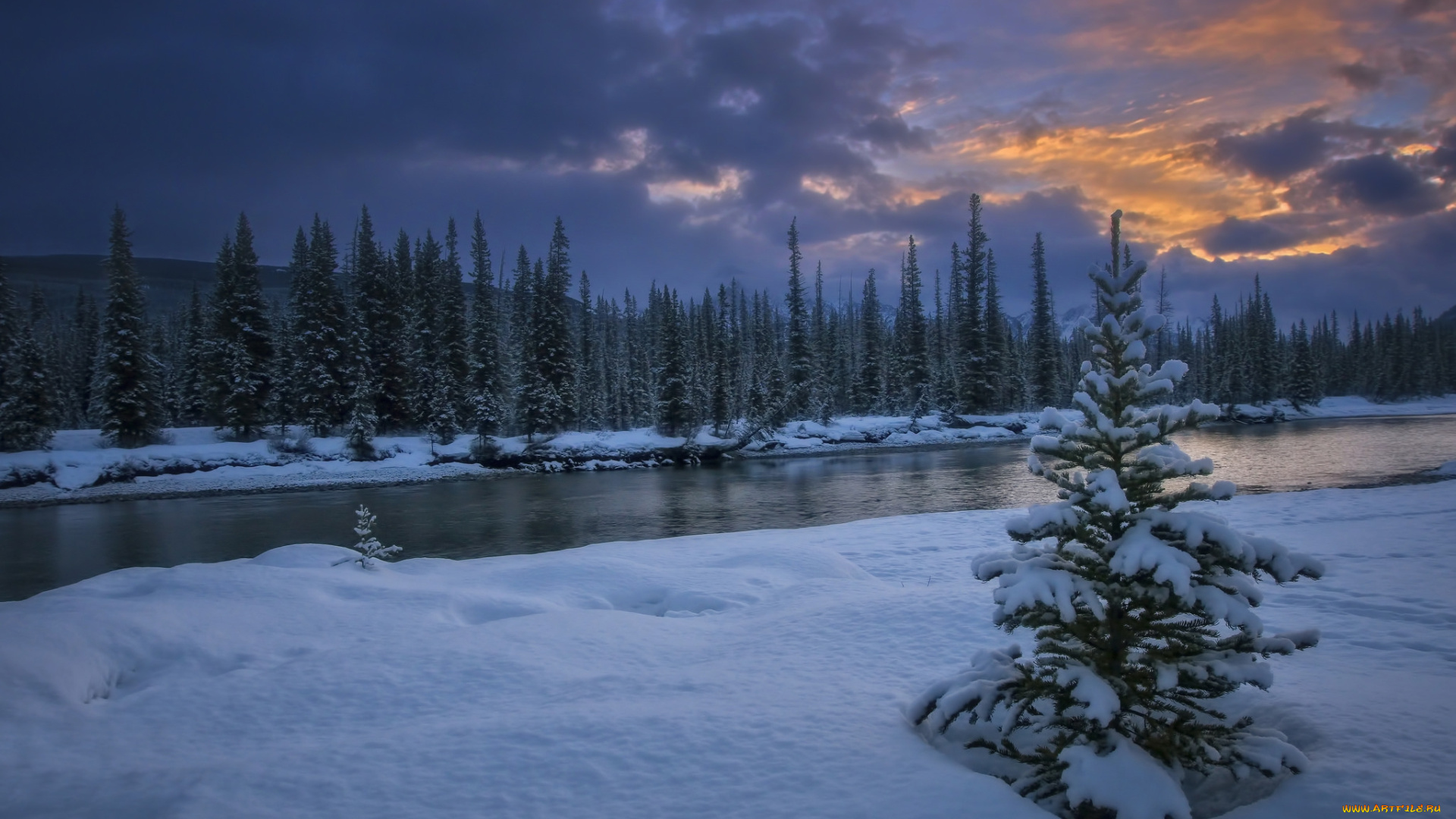 природа, зима, простор